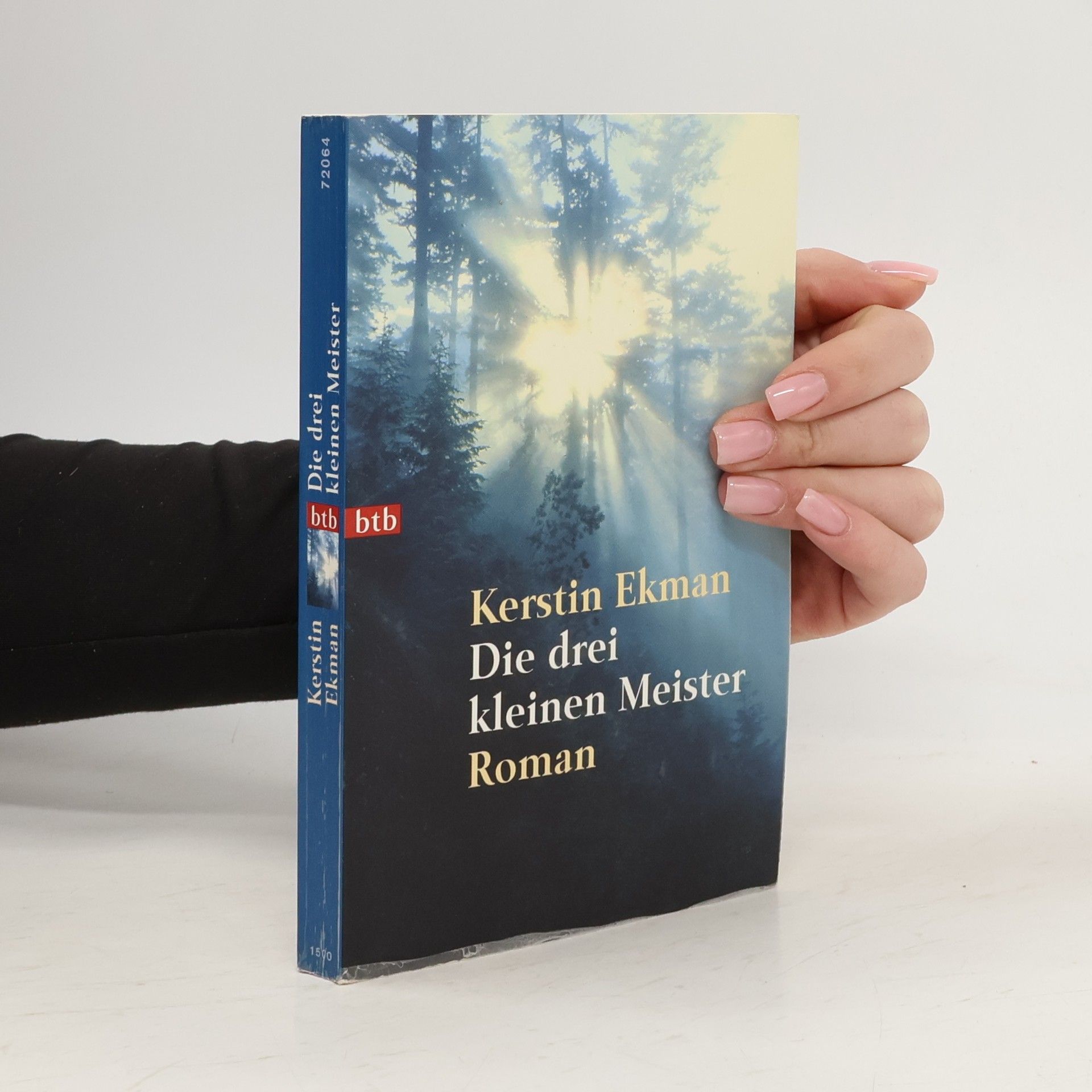 Kerstin Ekman Die drei kleinen Meister