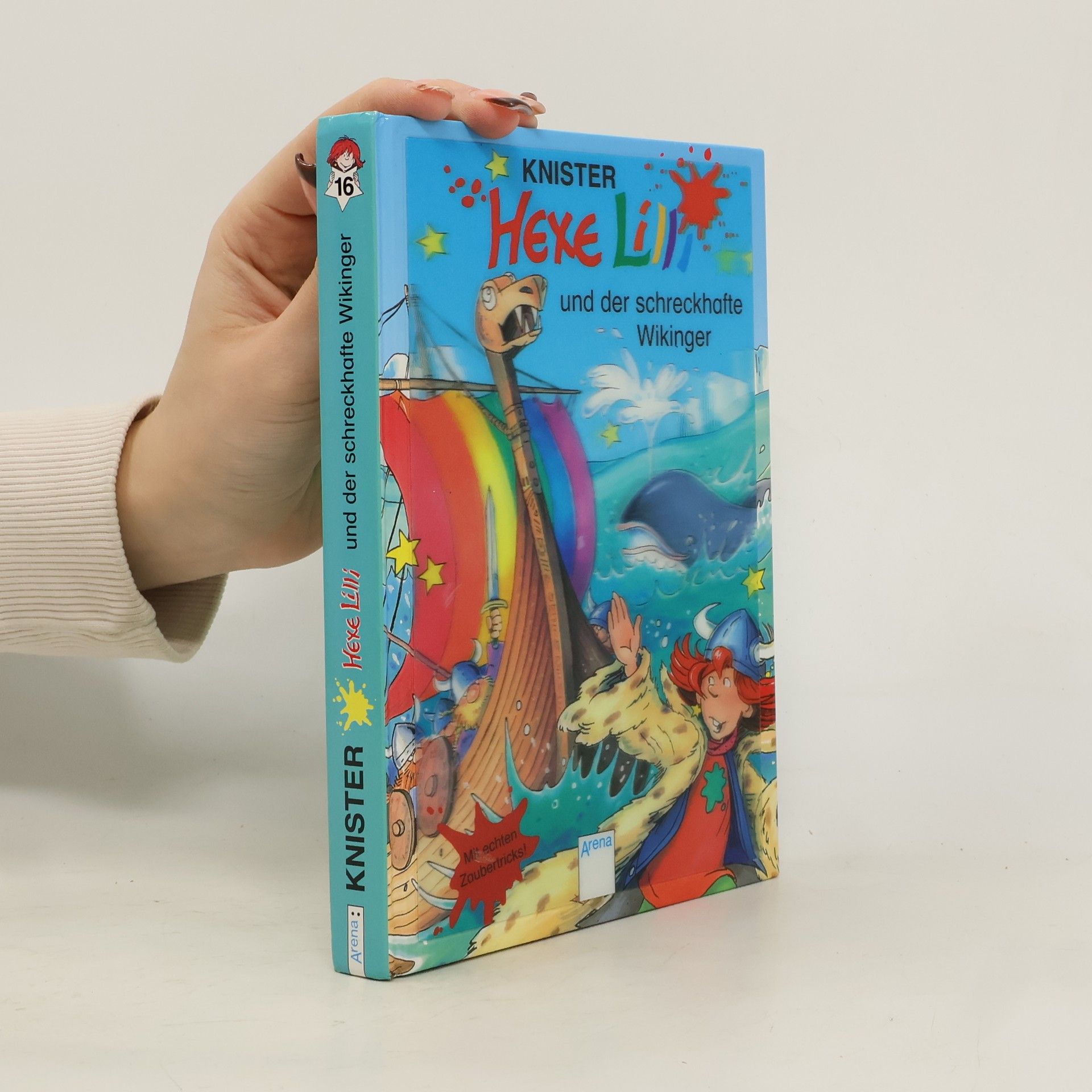 Brigit Rieger Hexe Lilli und der schreckhafte Wikinger