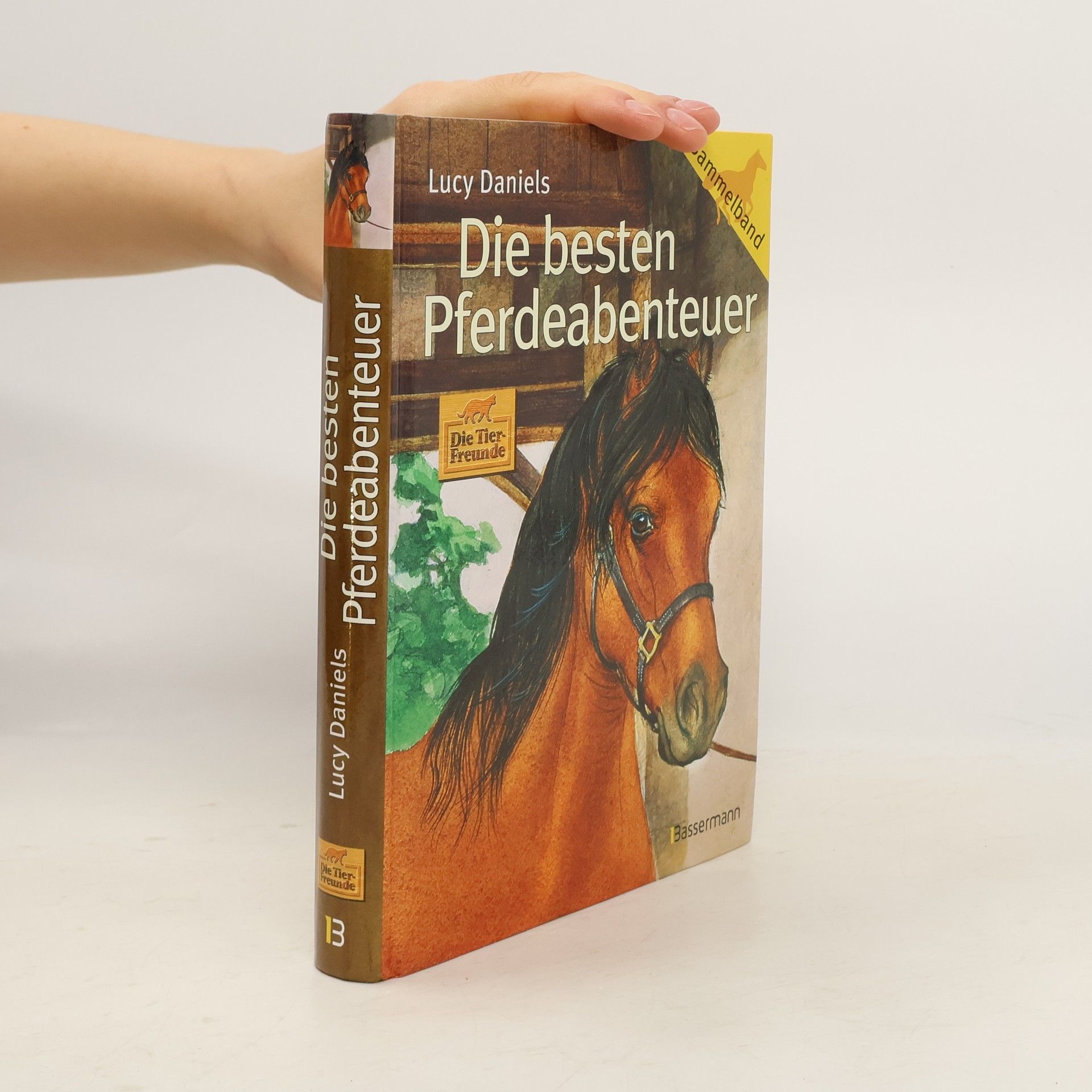 Lucy Daniels Die besten Pferdeabenteuer