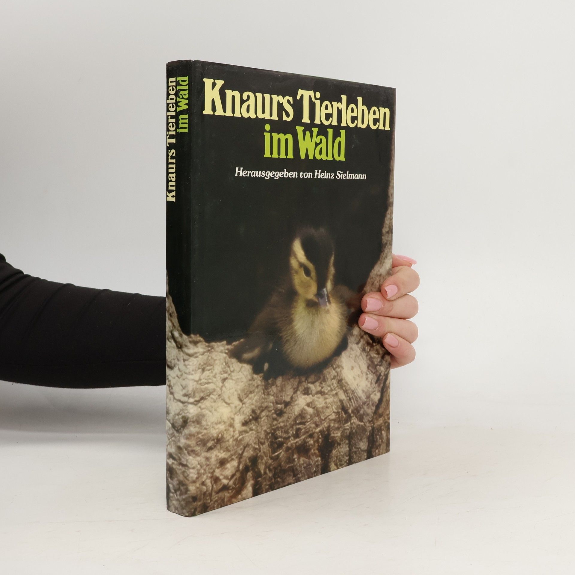 Heinz Sielmann Knaurs Tierleben im Wald