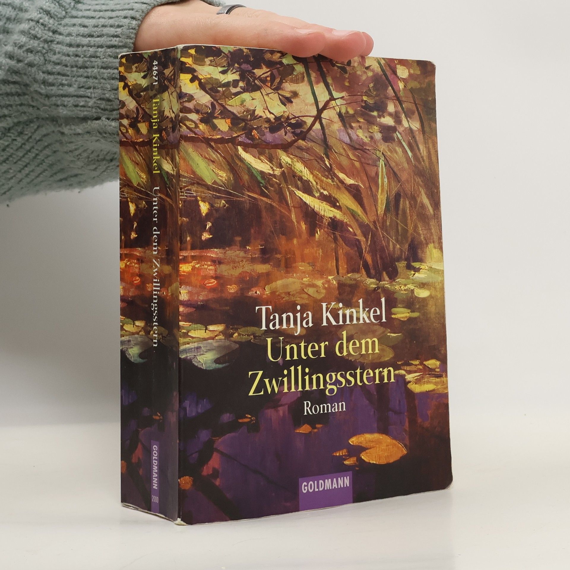 Unter dem Zwillingsstern