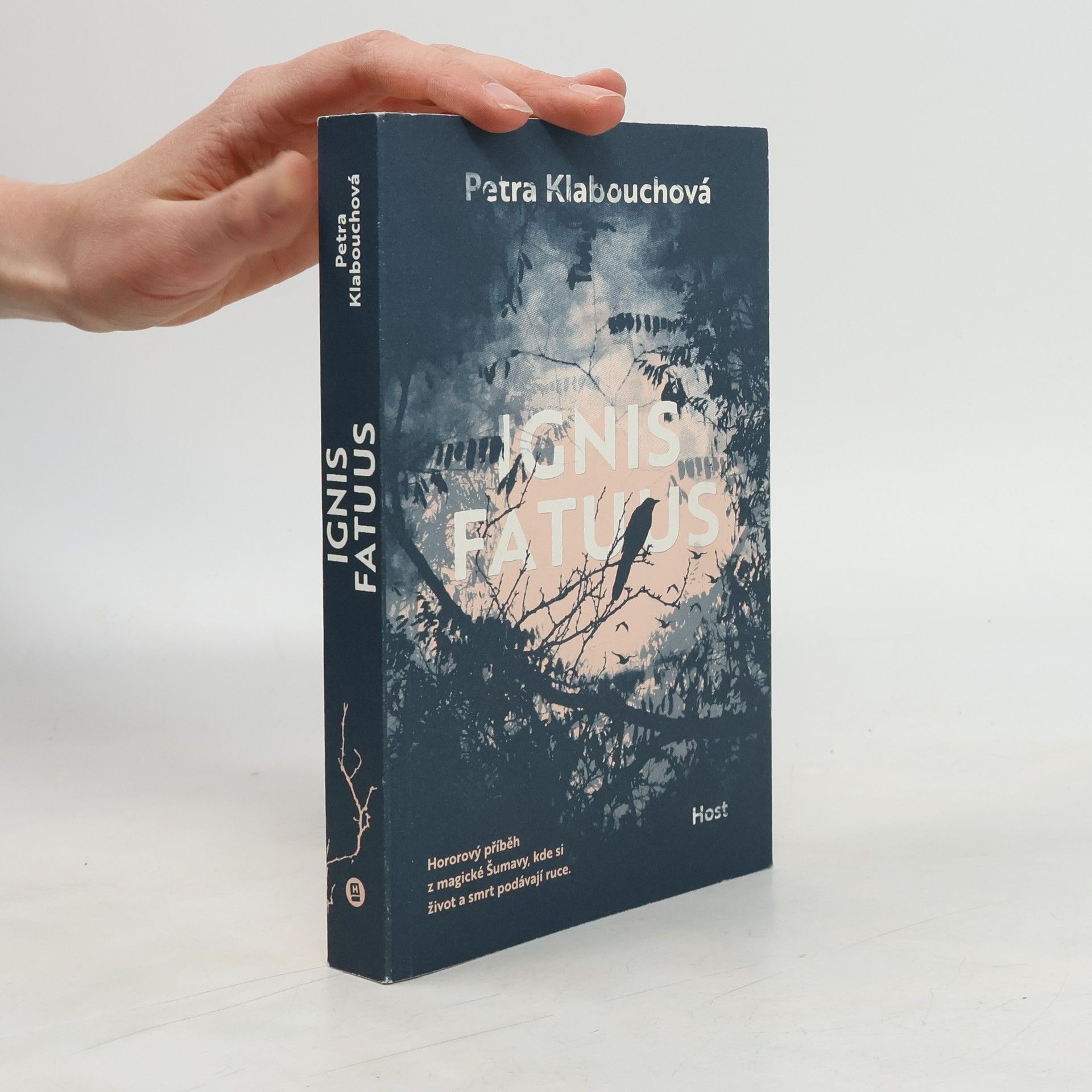 Petra Klabouchová Ignis fatuus
