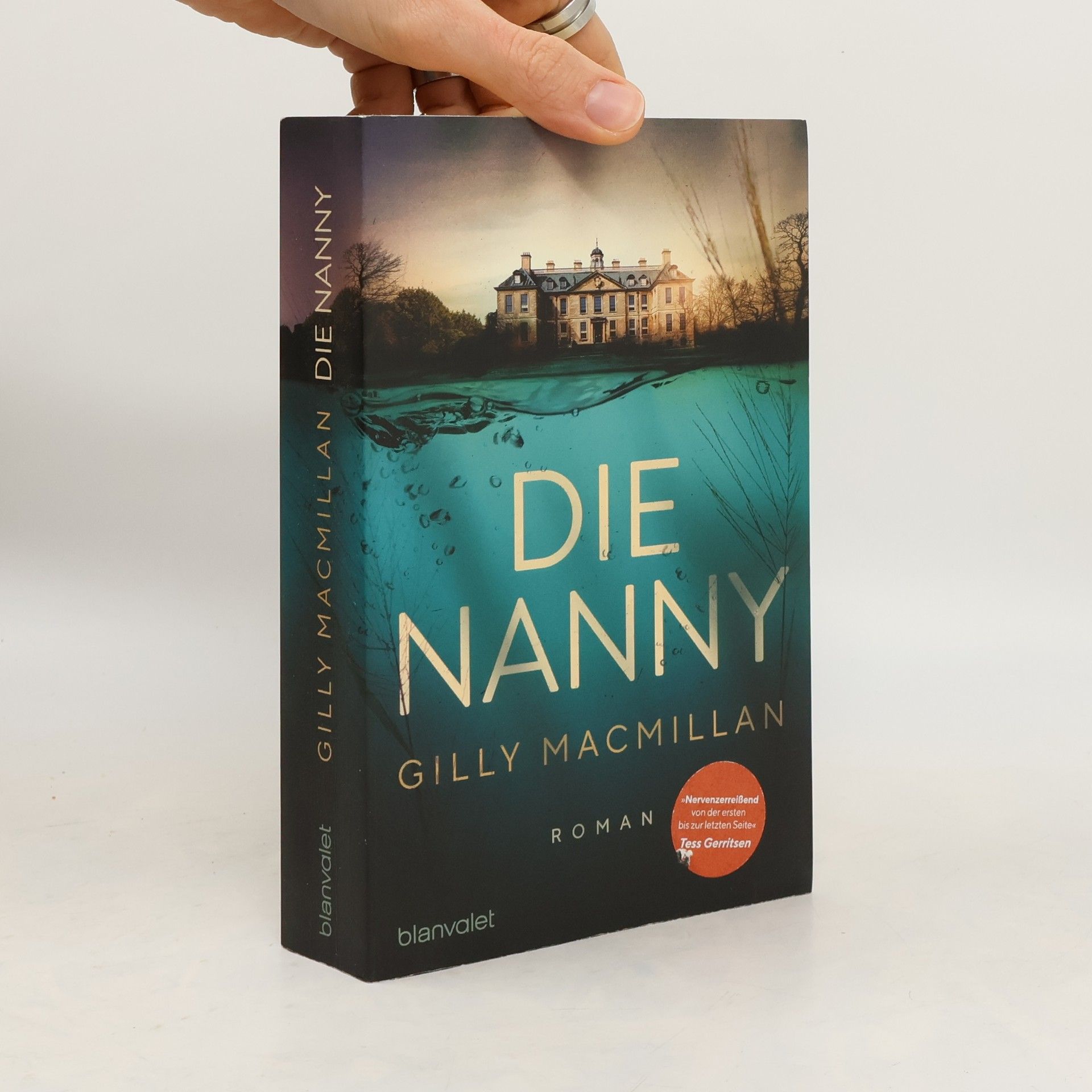 Gilly Macmillan Die Nanny