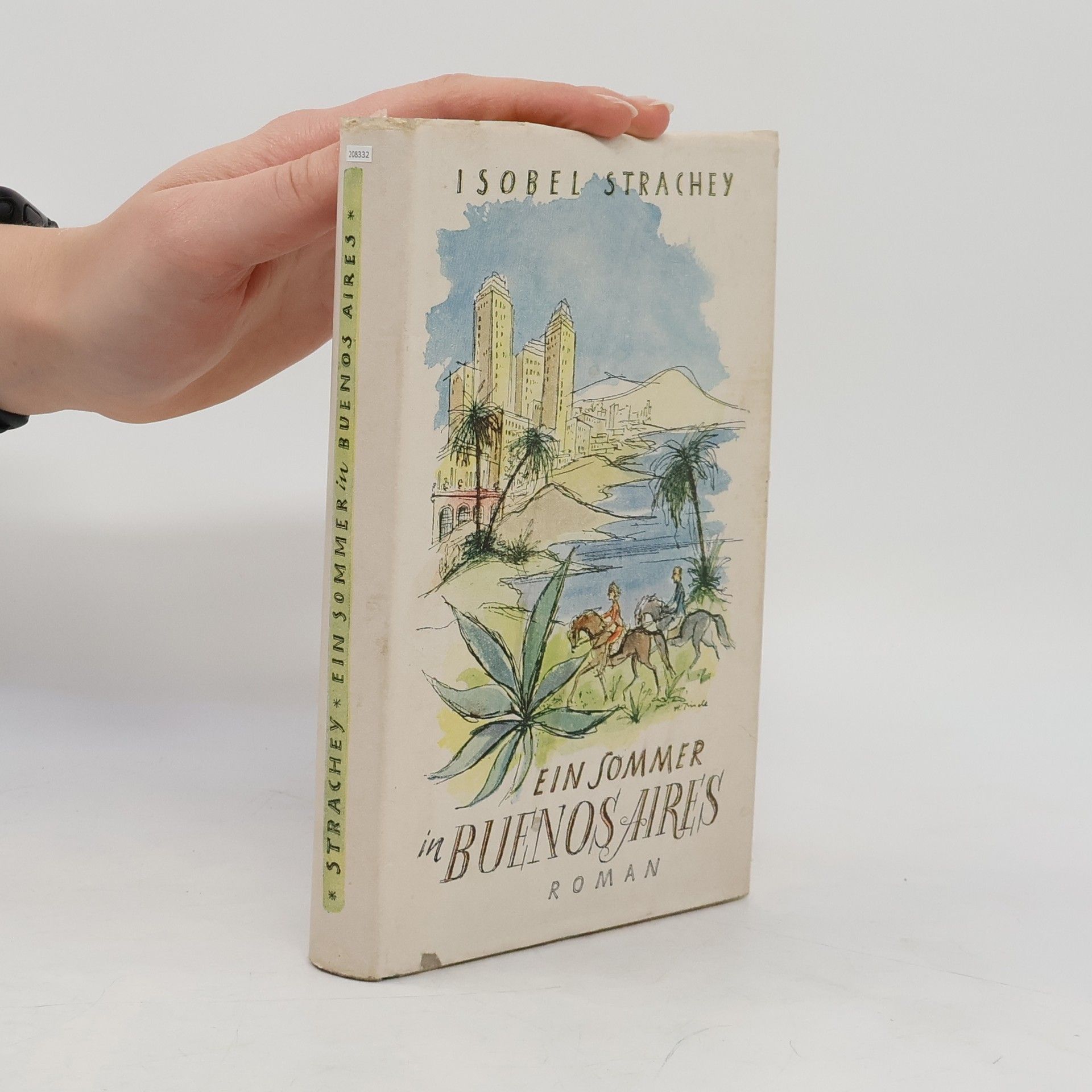 Ein Sommer in Buenos Aires