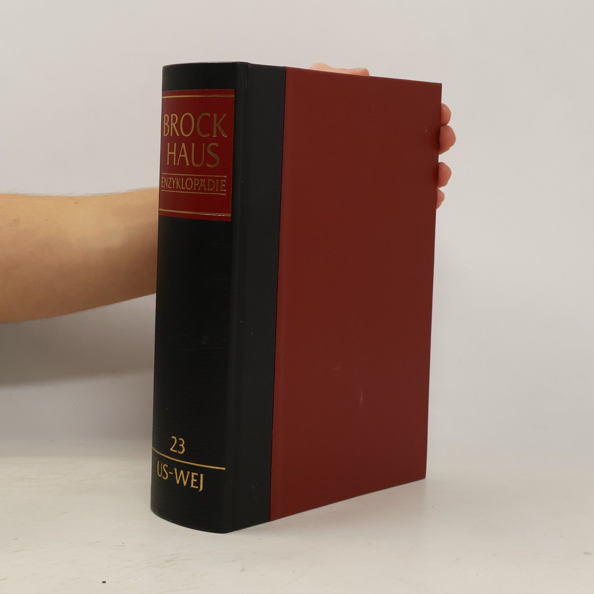Kolektiv autorů Brockhaus Enzyklopädie 23 (US-WEJ)