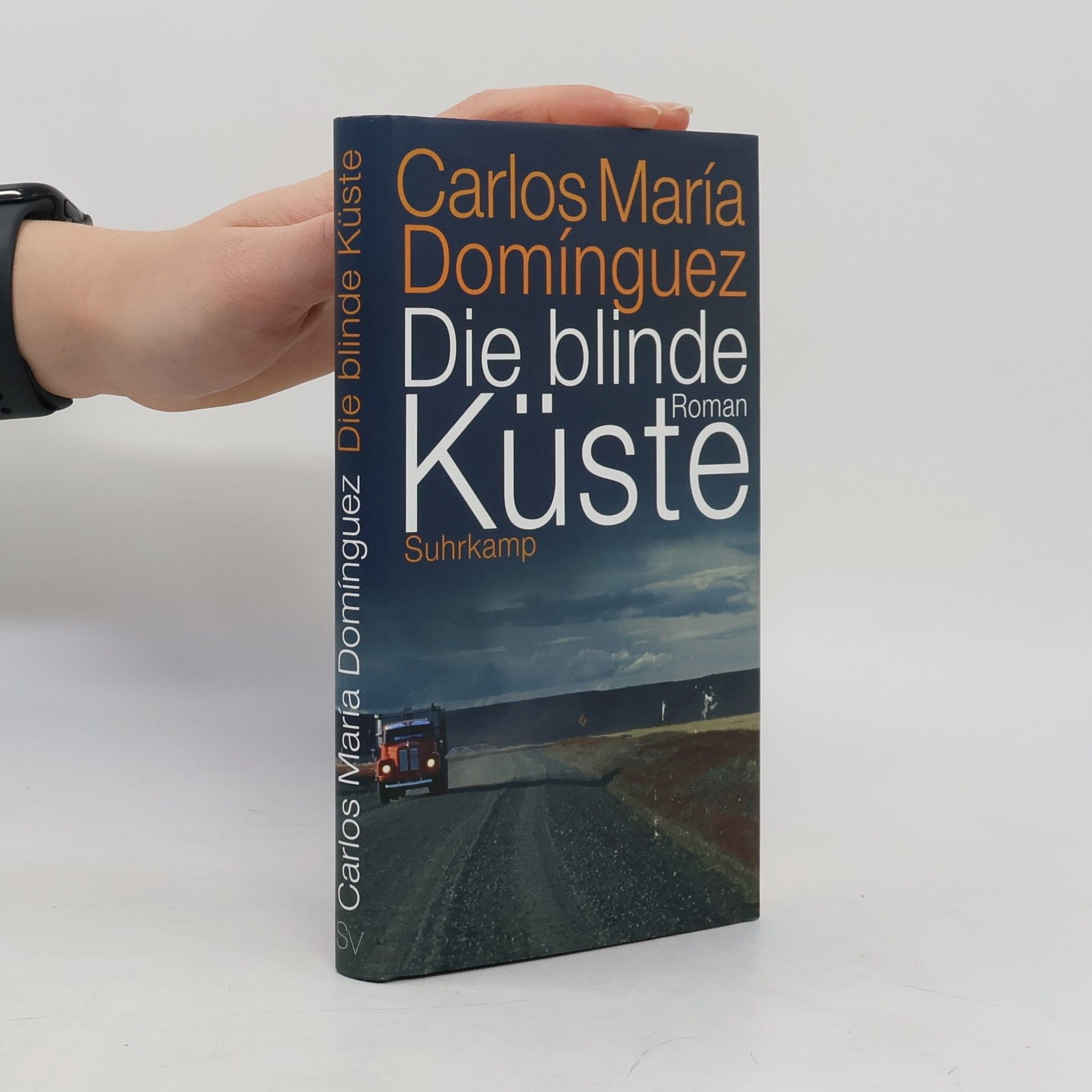 Carlos María Domínguez Die blinde Küste