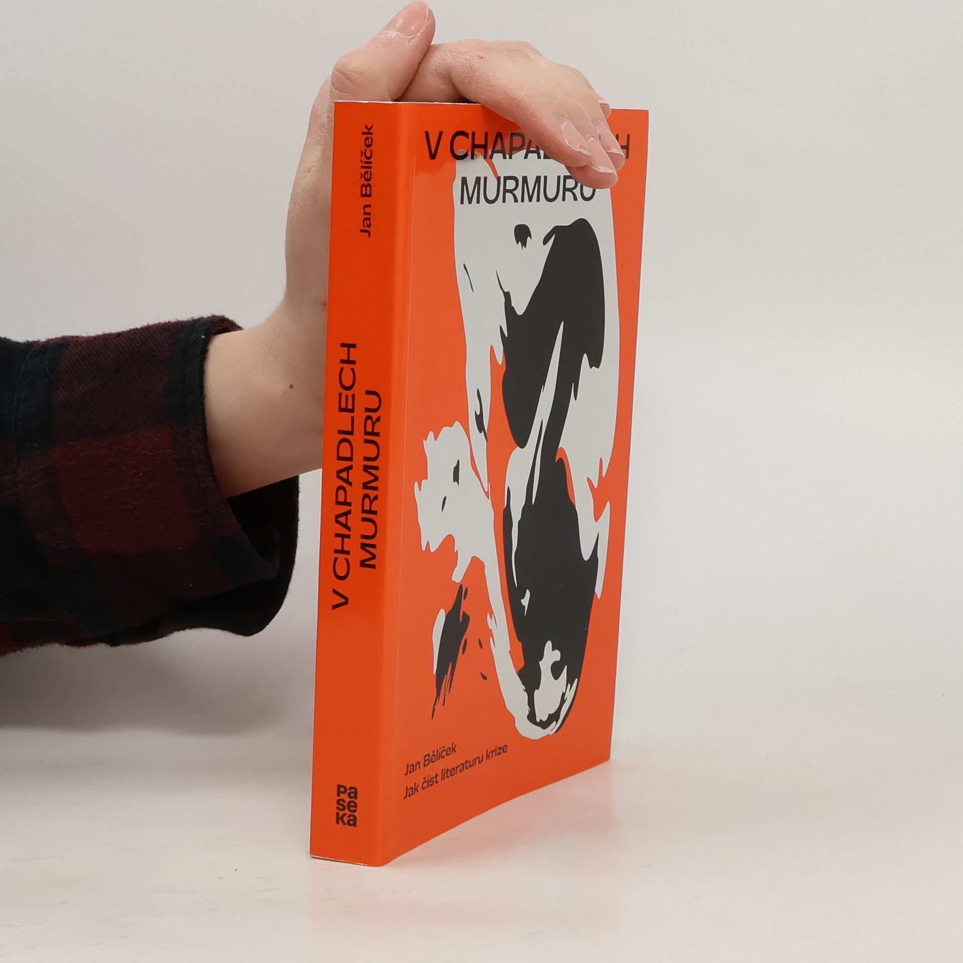 V chapadlech murmuru : jak číst literaturu krize