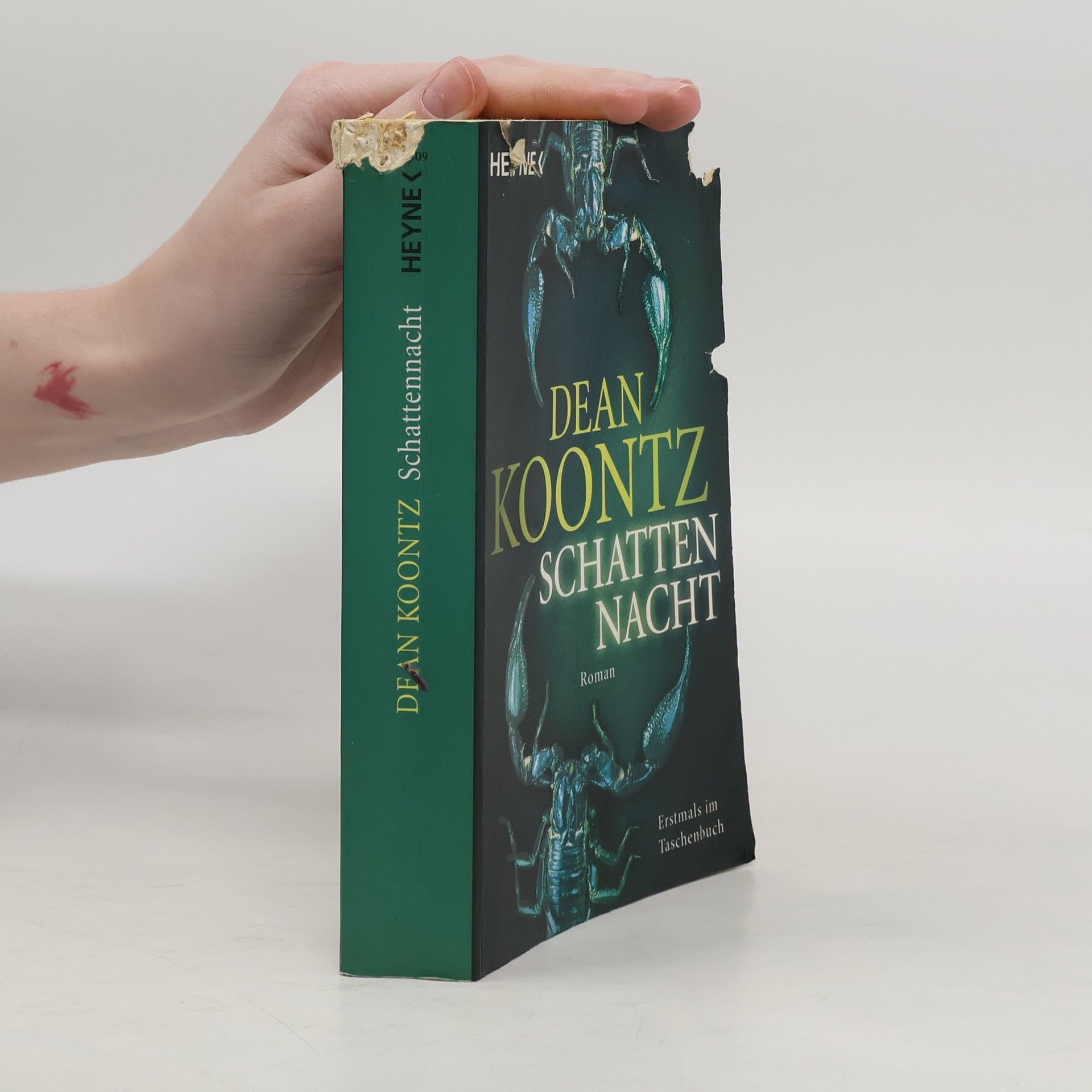 Dean R. Koontz Schattennacht