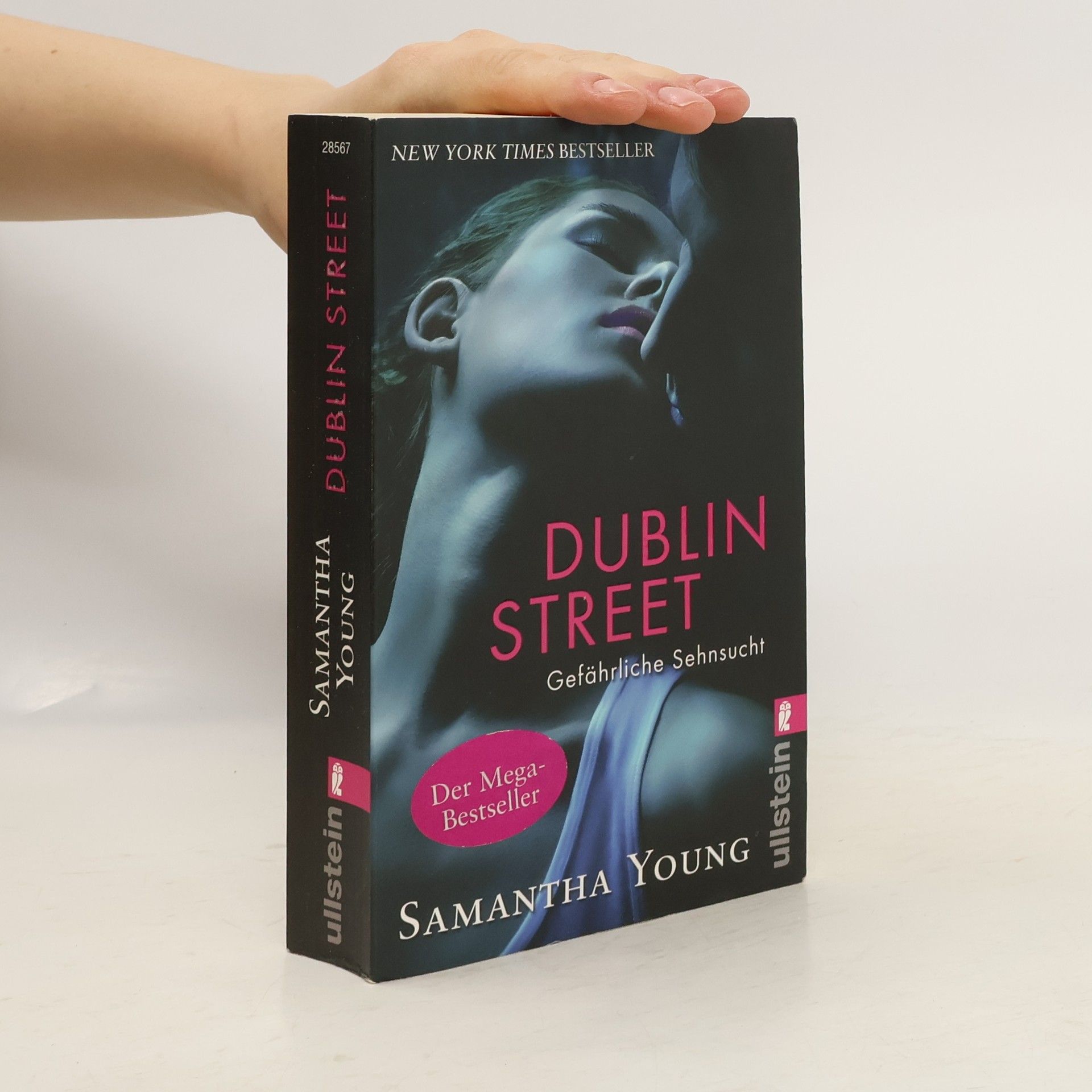 Samantha Young Dublin Street: Gefährliche Sehnsucht