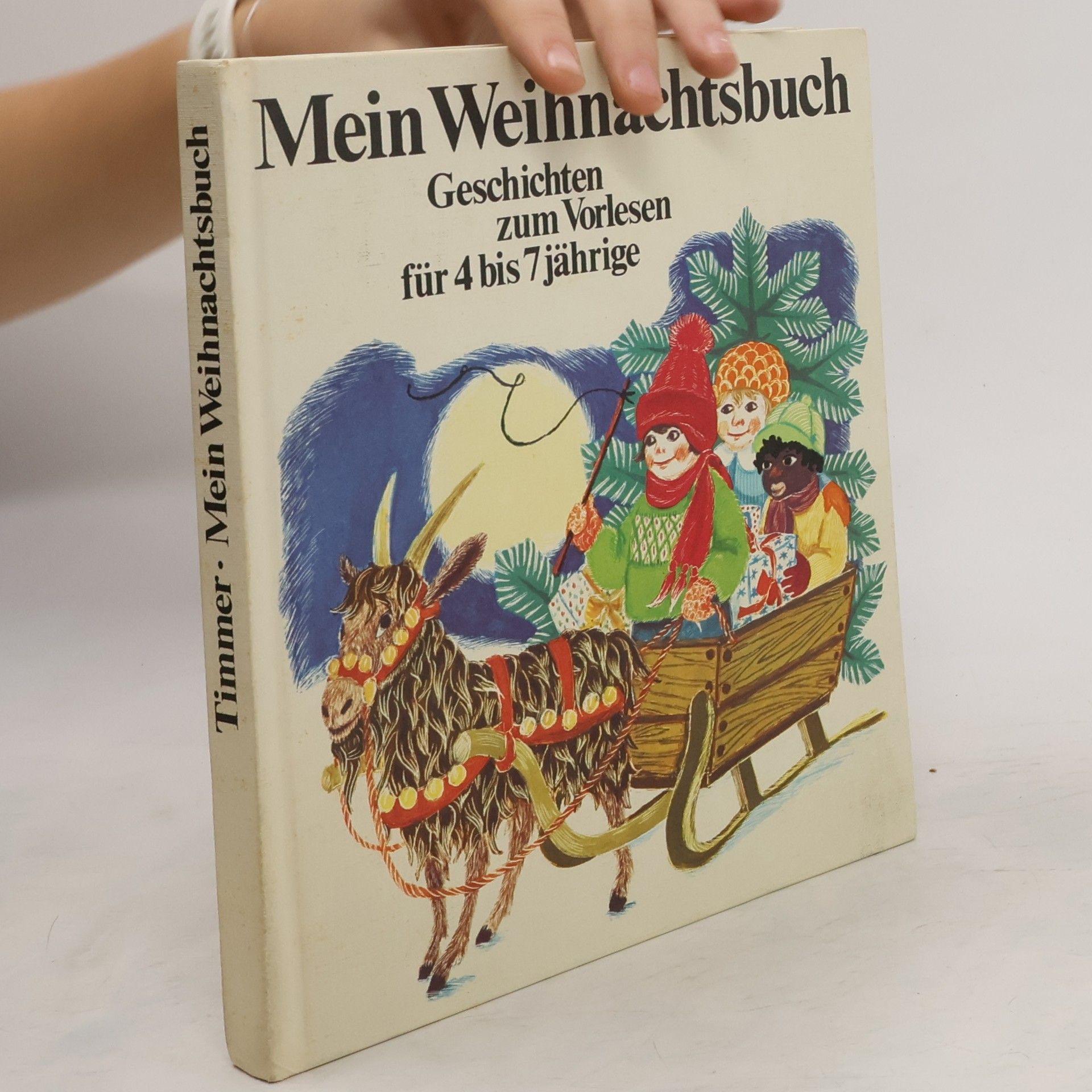 Various authors Mein Weihnachtsbuch