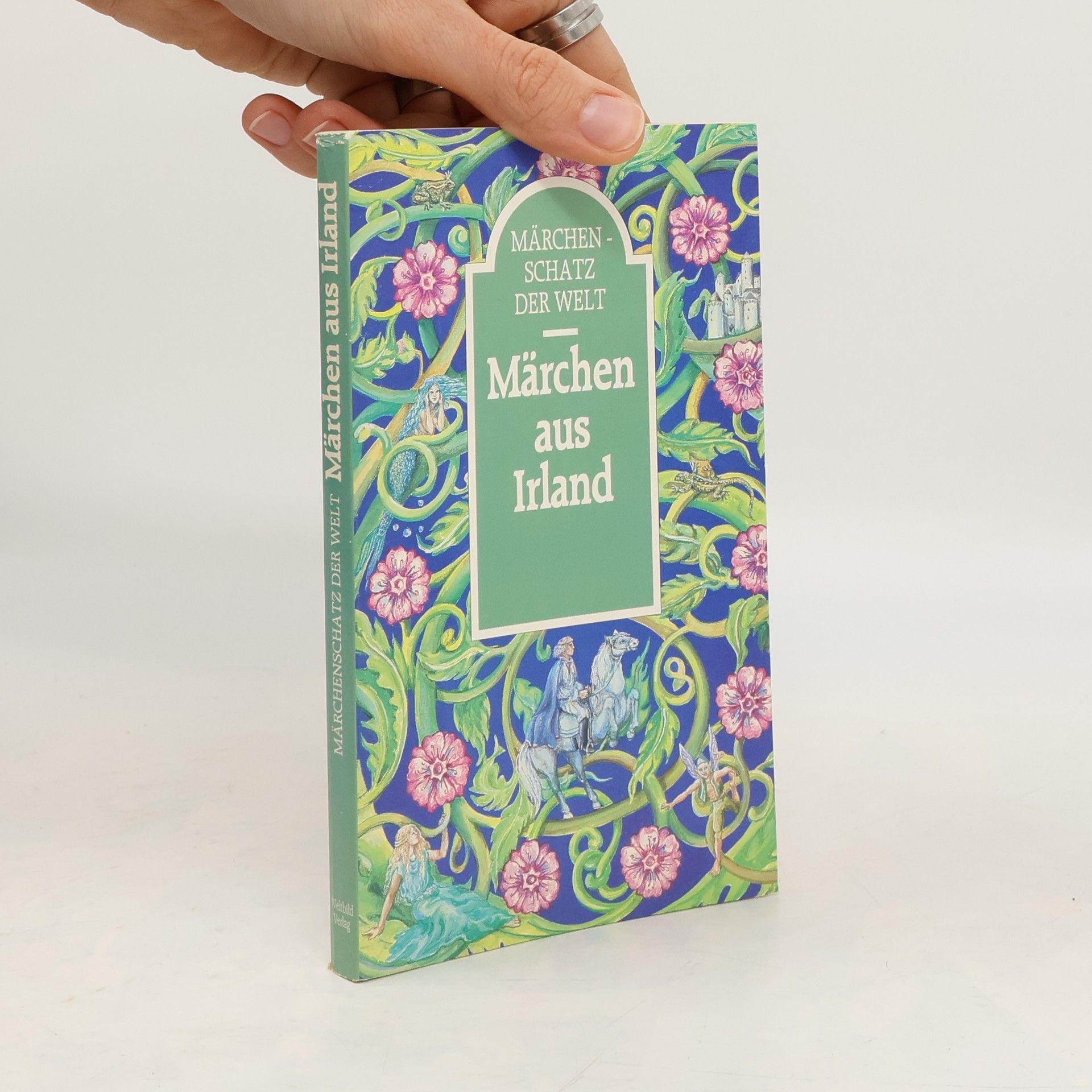 Autorenkollektiv Märchenschatz der Welt. Märchen aus Irland