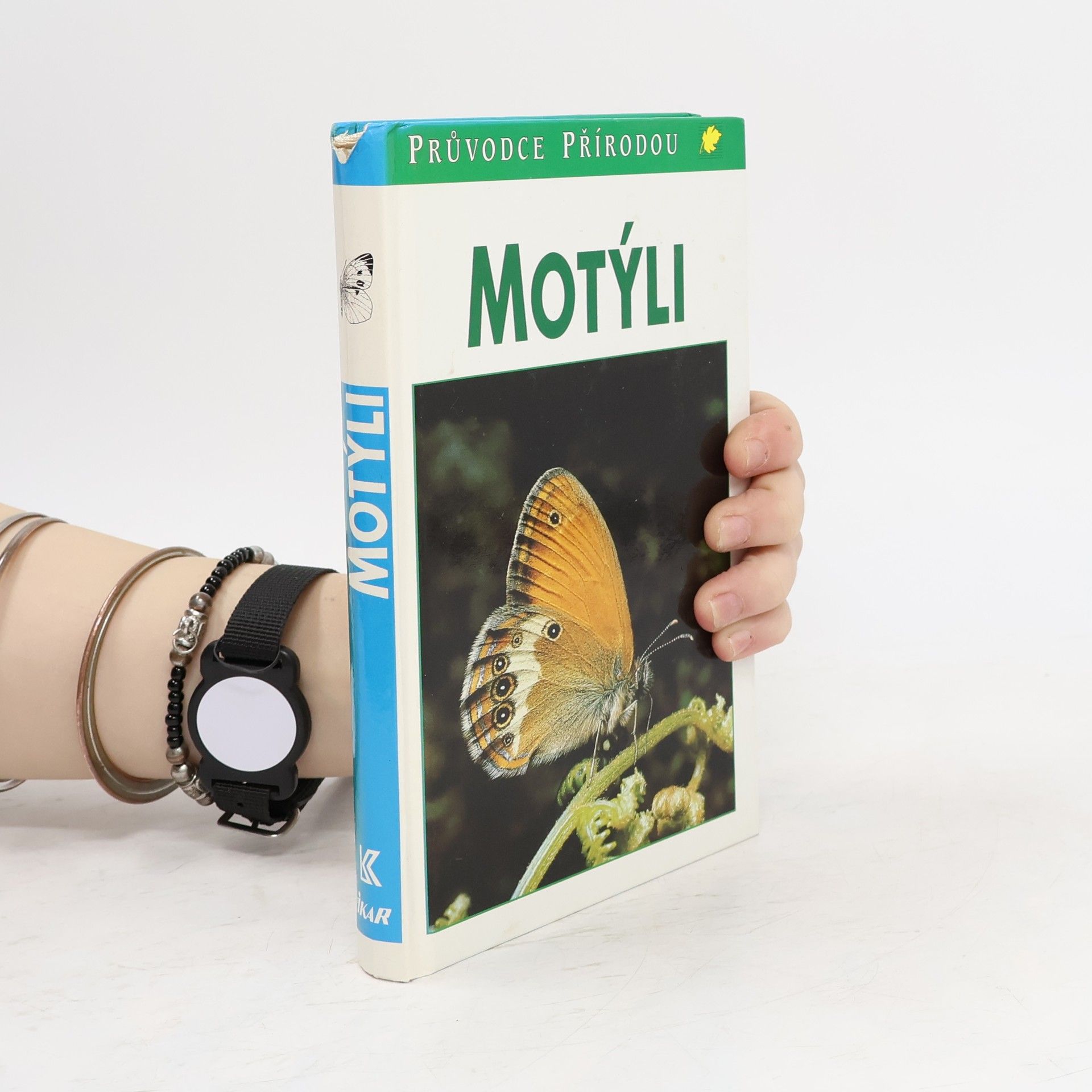 Helgard Reichholf Riehm Motýli