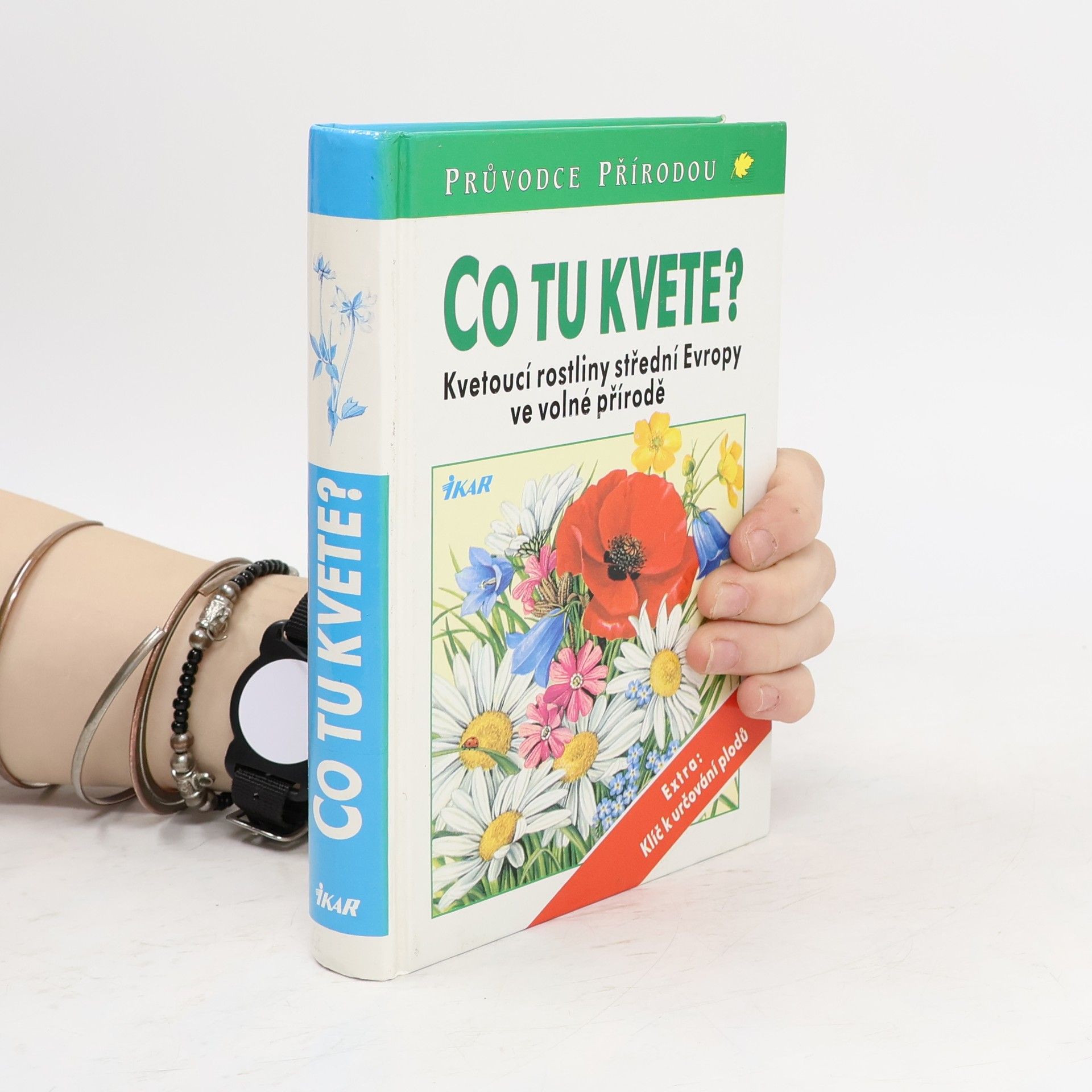 Dietmar Aichele Co tu kvete?