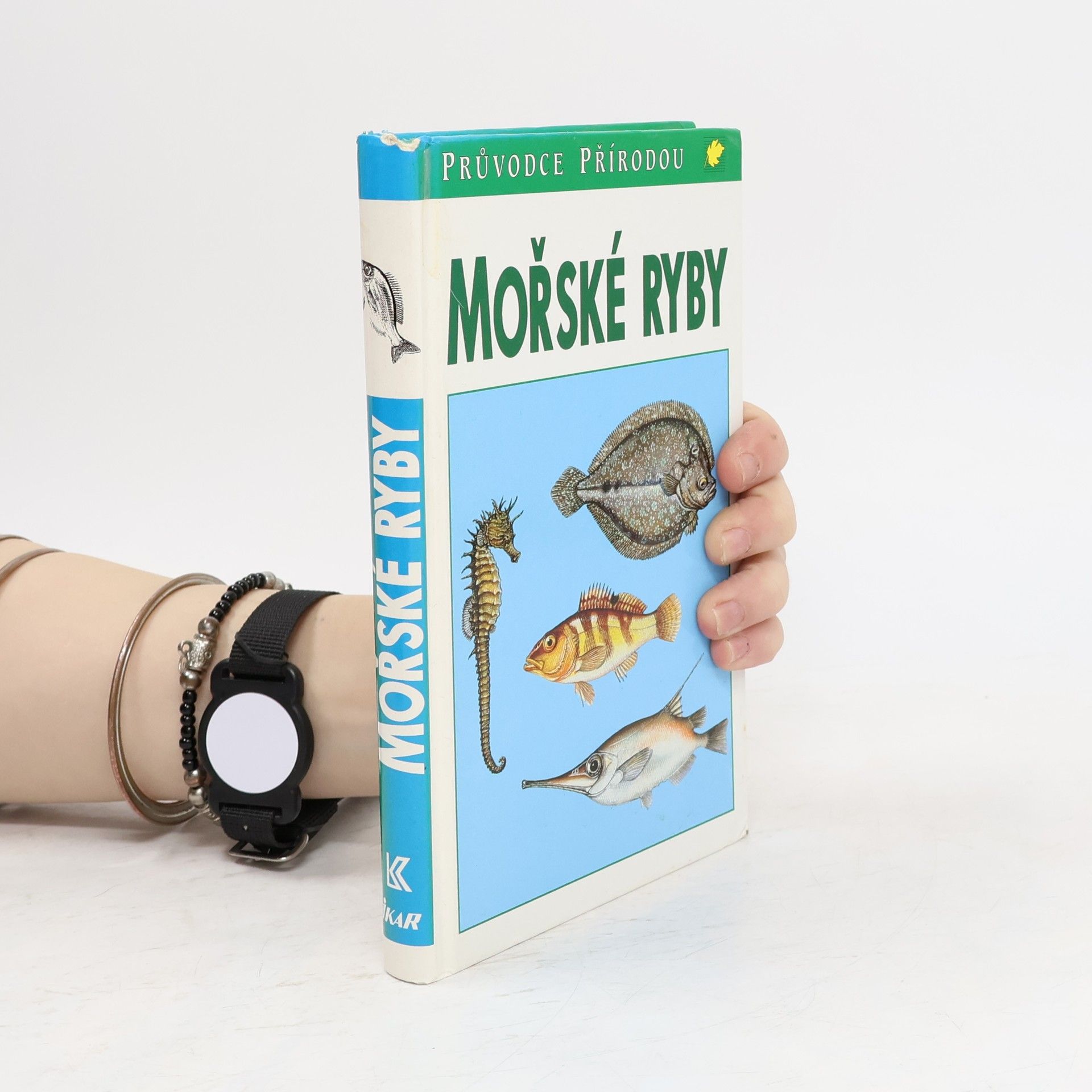 Mořské ryby v evropských vodách