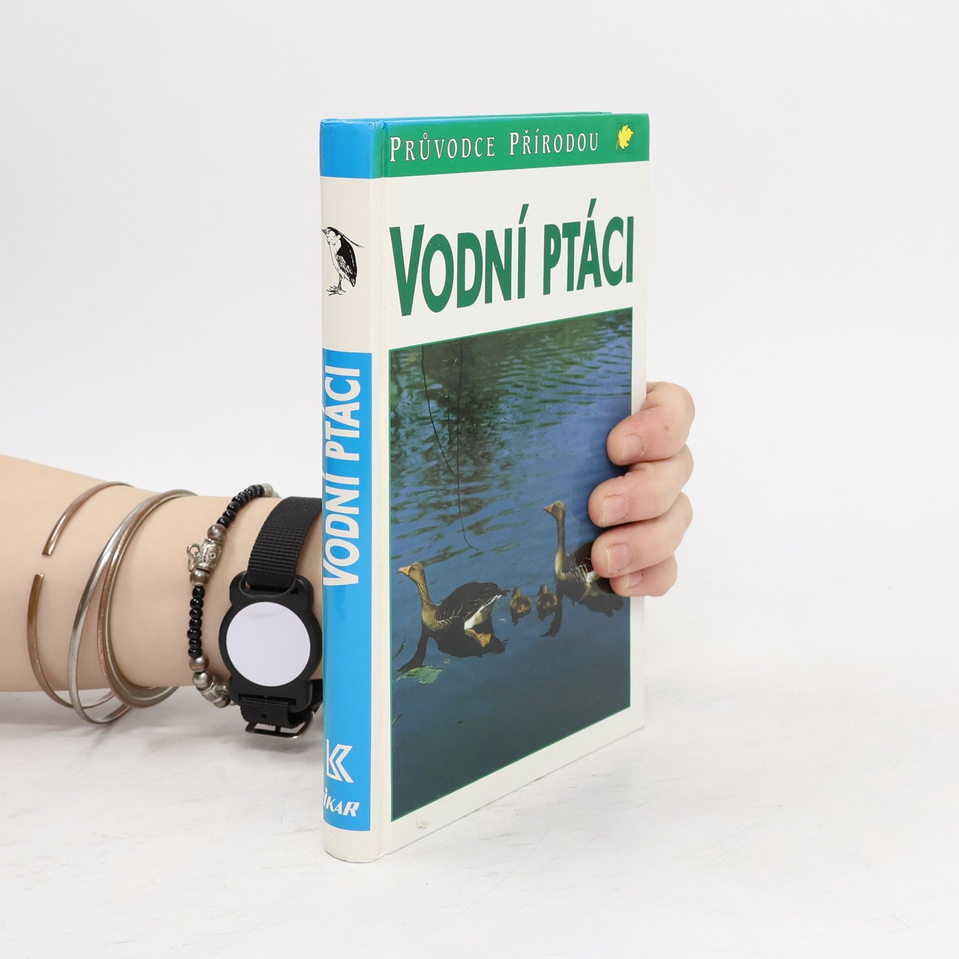 Frieder Sauer Vodní ptáci