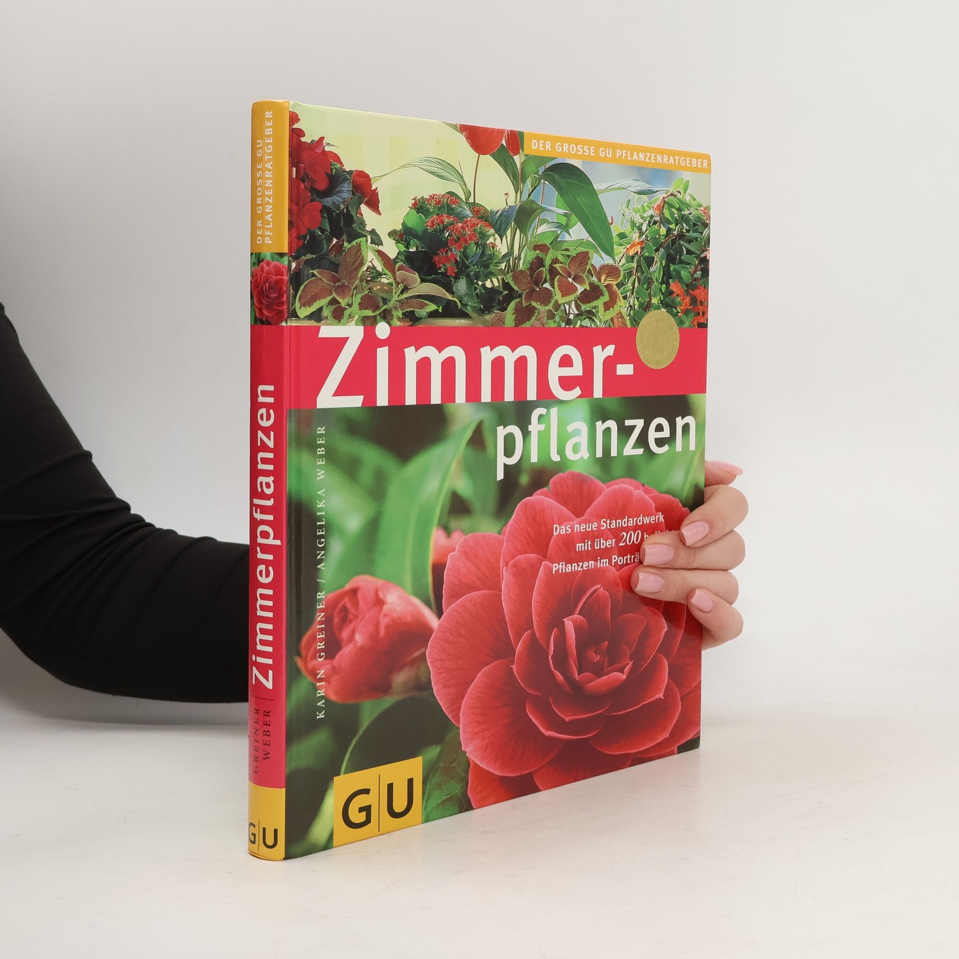 Karin Greiner Zimmerpflanzen