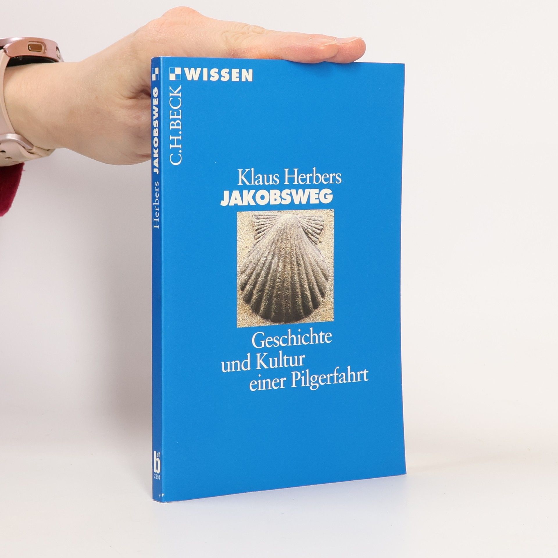 Klaus Herbers Jakobsweg