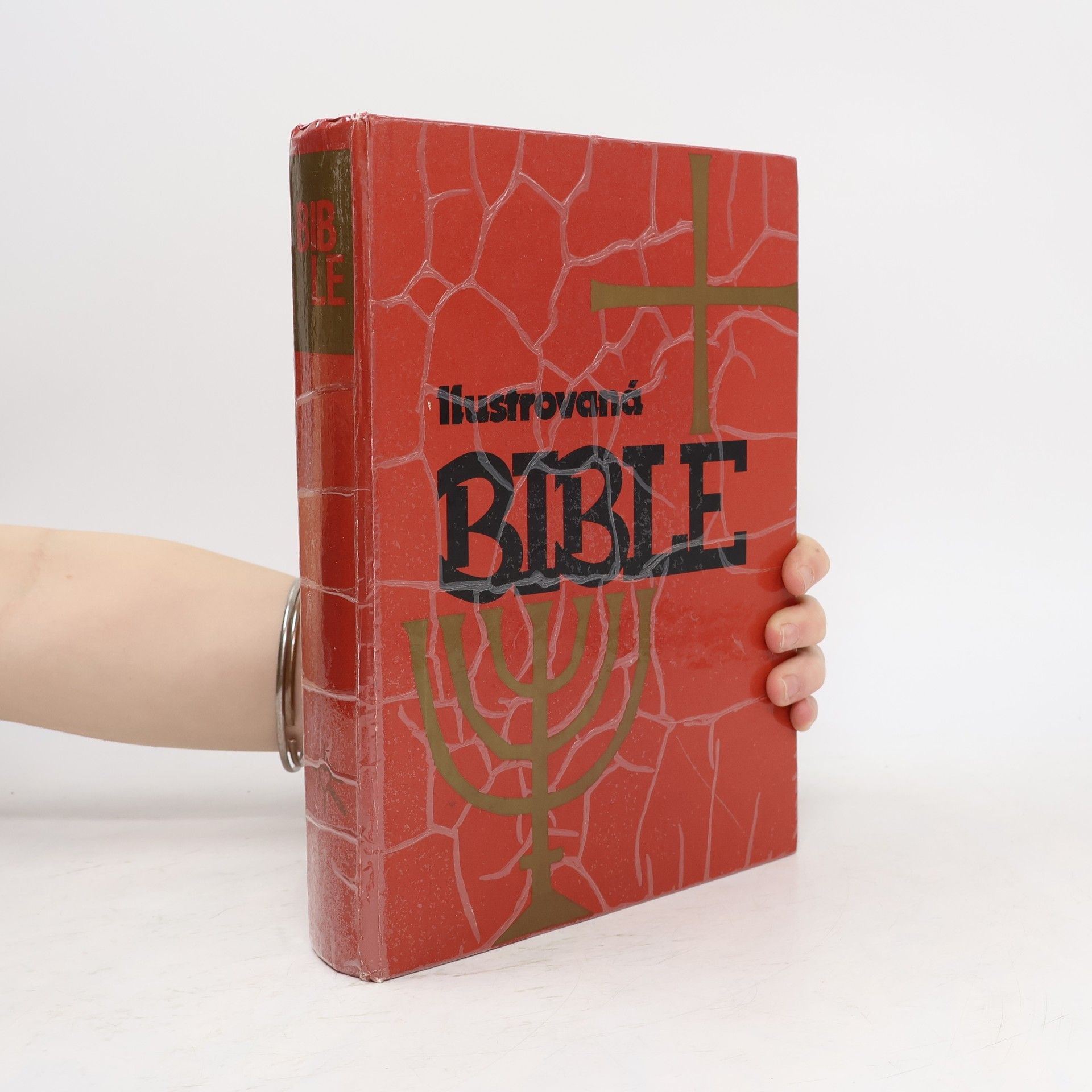 Samuel Terrien Ilustrovaná Bible pro mládež