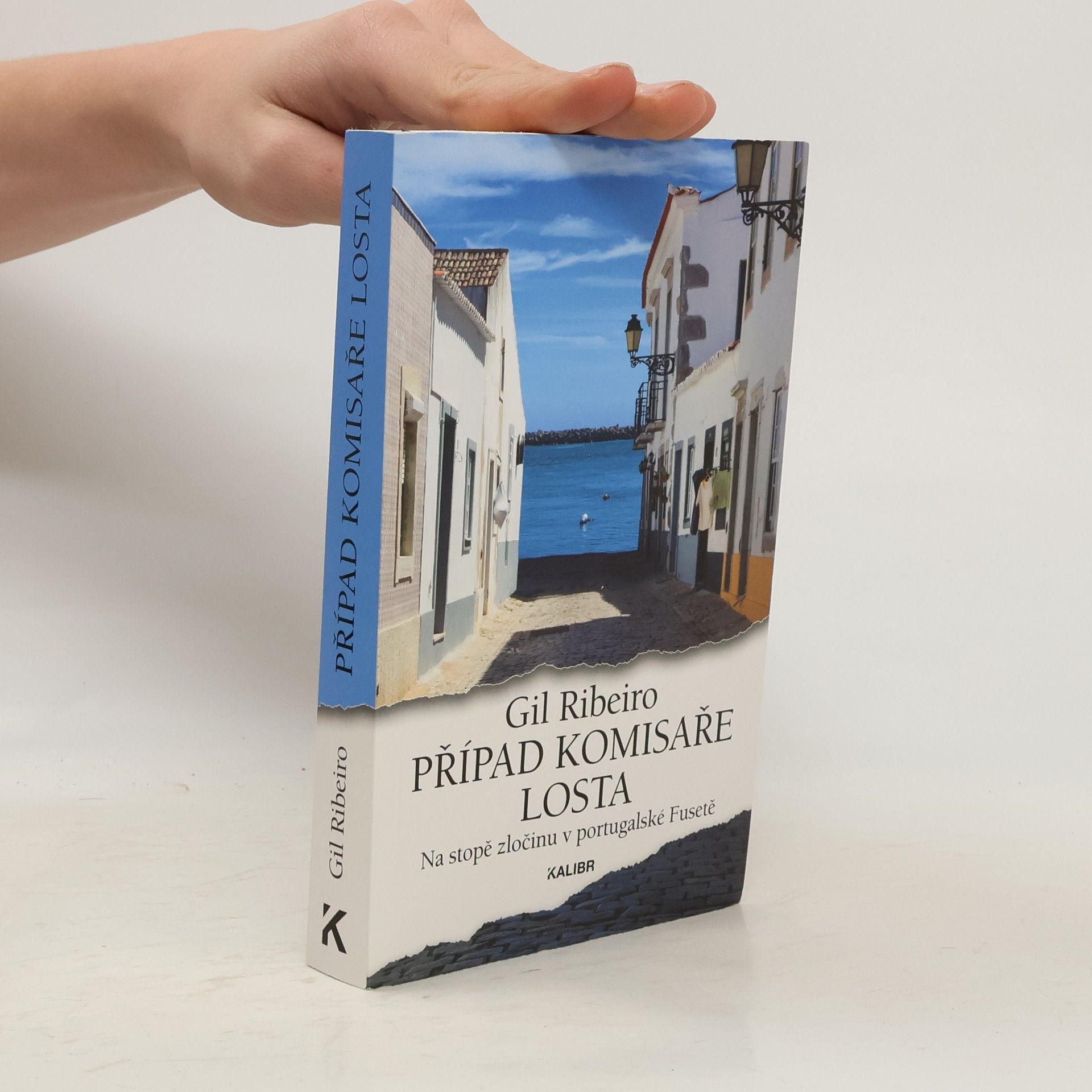 Případ komisaře Losta