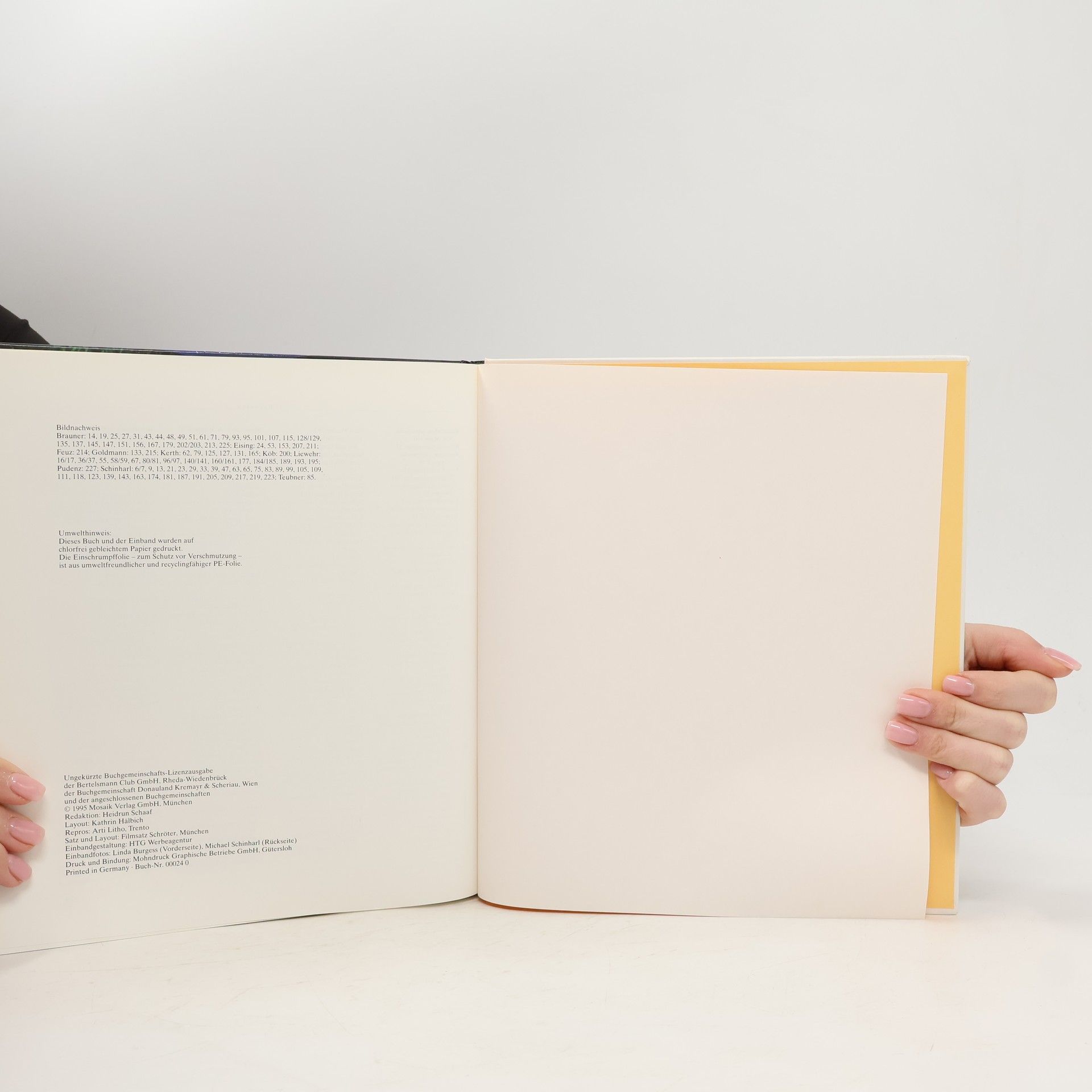 Elisabetch Fischer Das große Buch der vegetarischen Küche