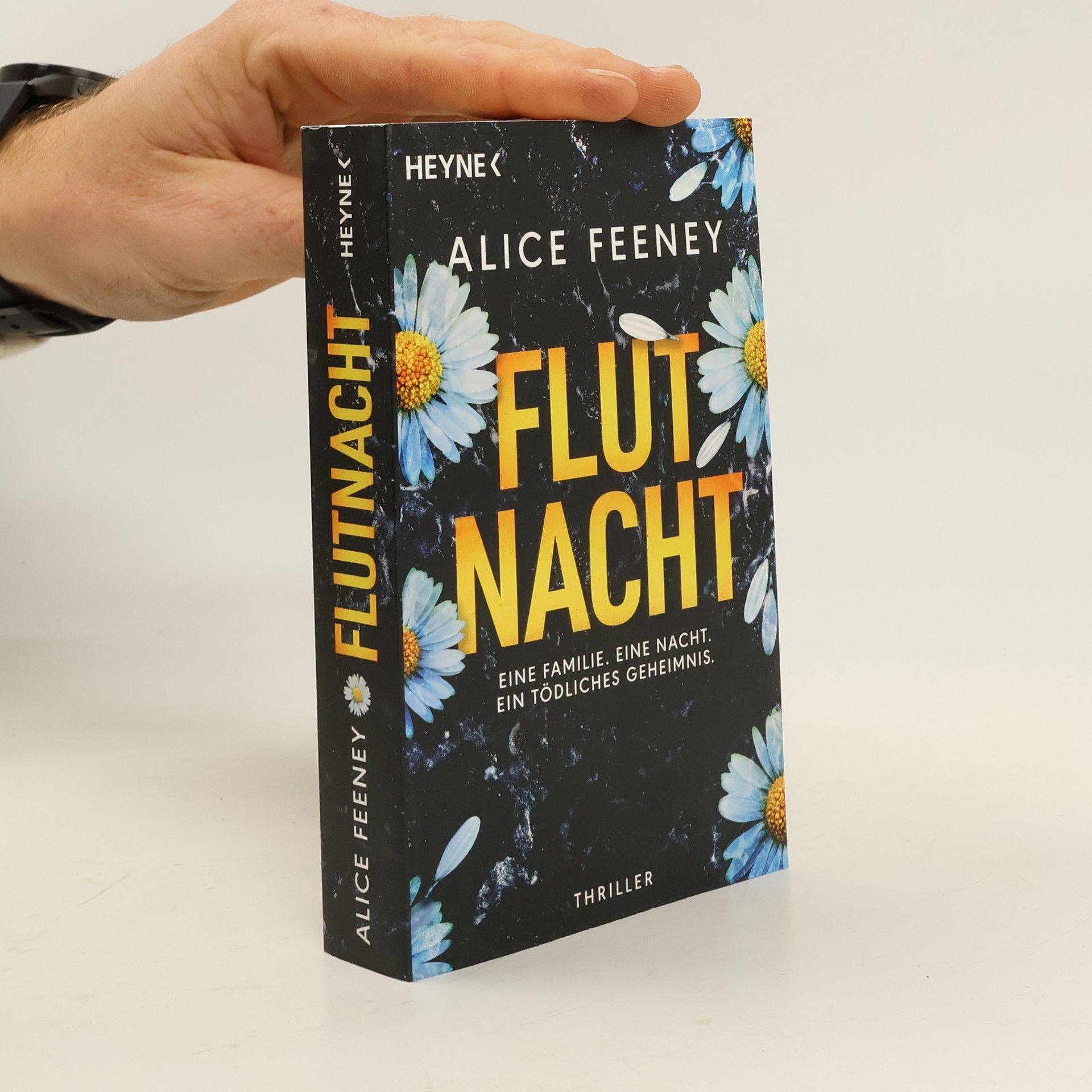 Alice Feeney Flutnacht – Eine Familie. Eine Nacht. Ein tödliches Geheimnis.. Thriller