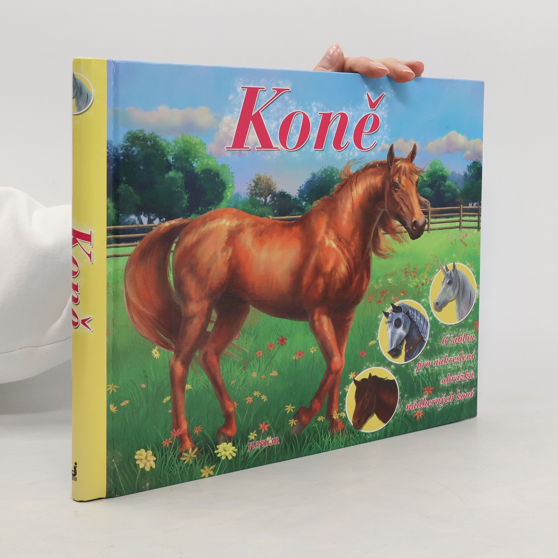 Daniela Řezníčková Koně