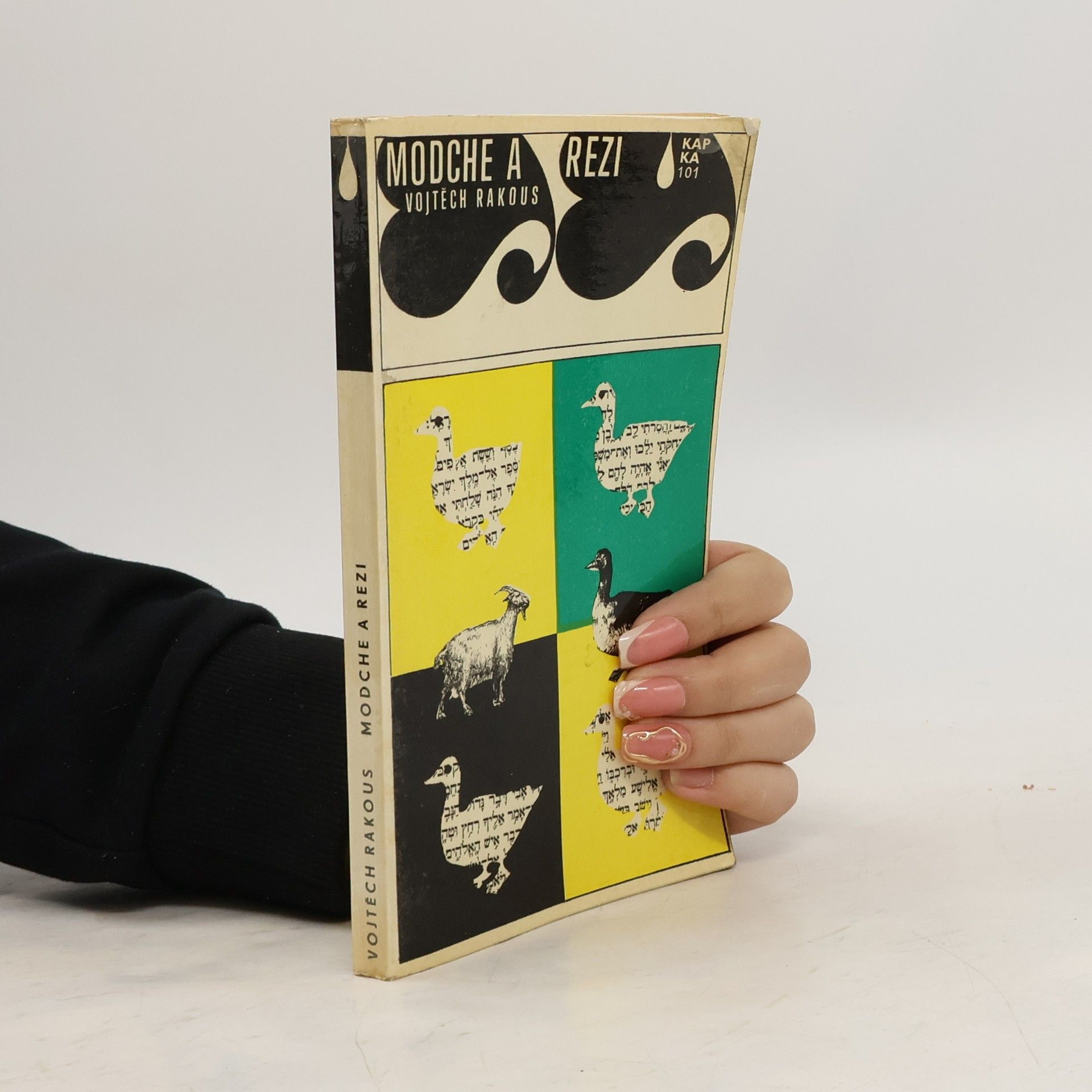 Vojtěch Rakous Modche a Rezi