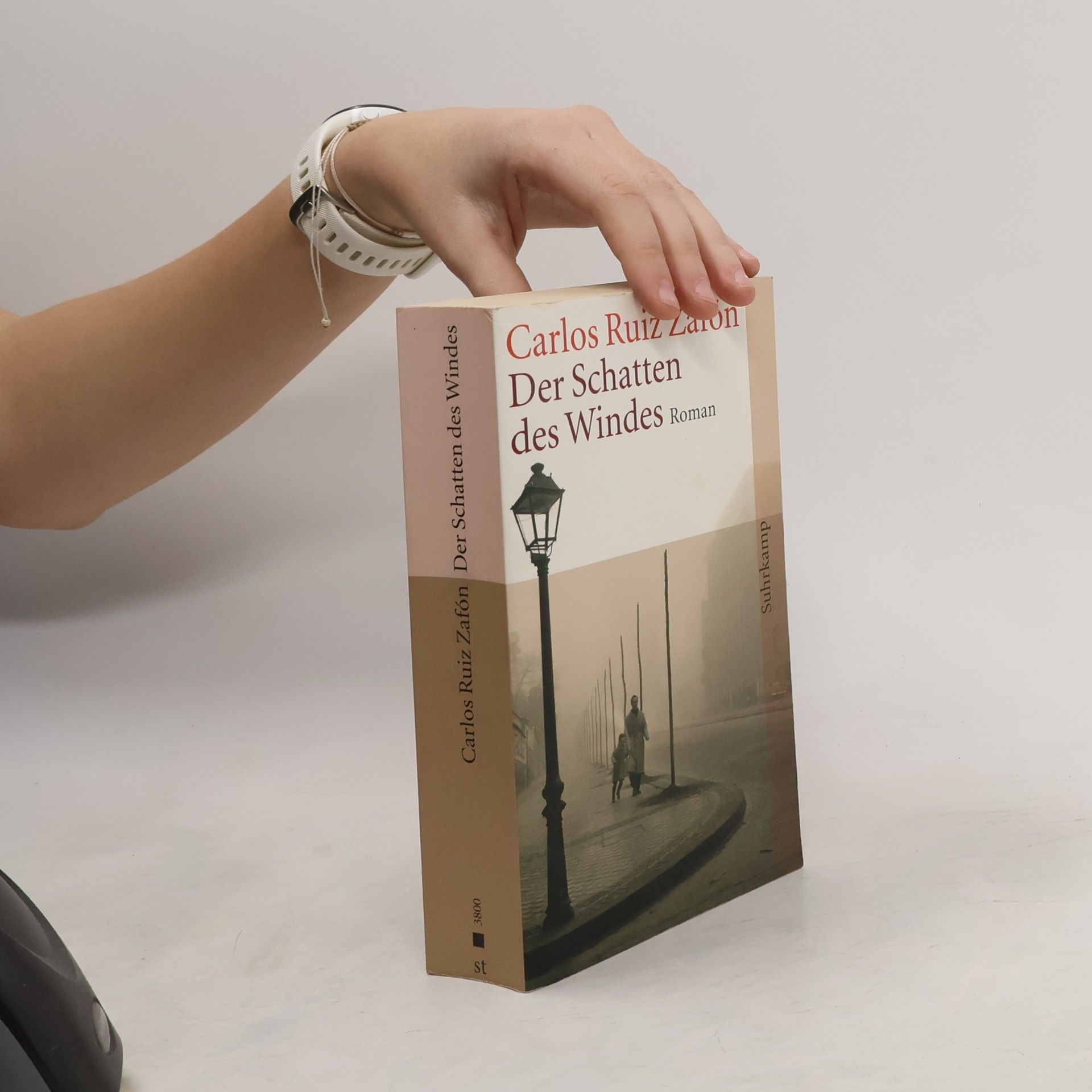 Carlos Ruiz Zafón Der Schatten des Windes