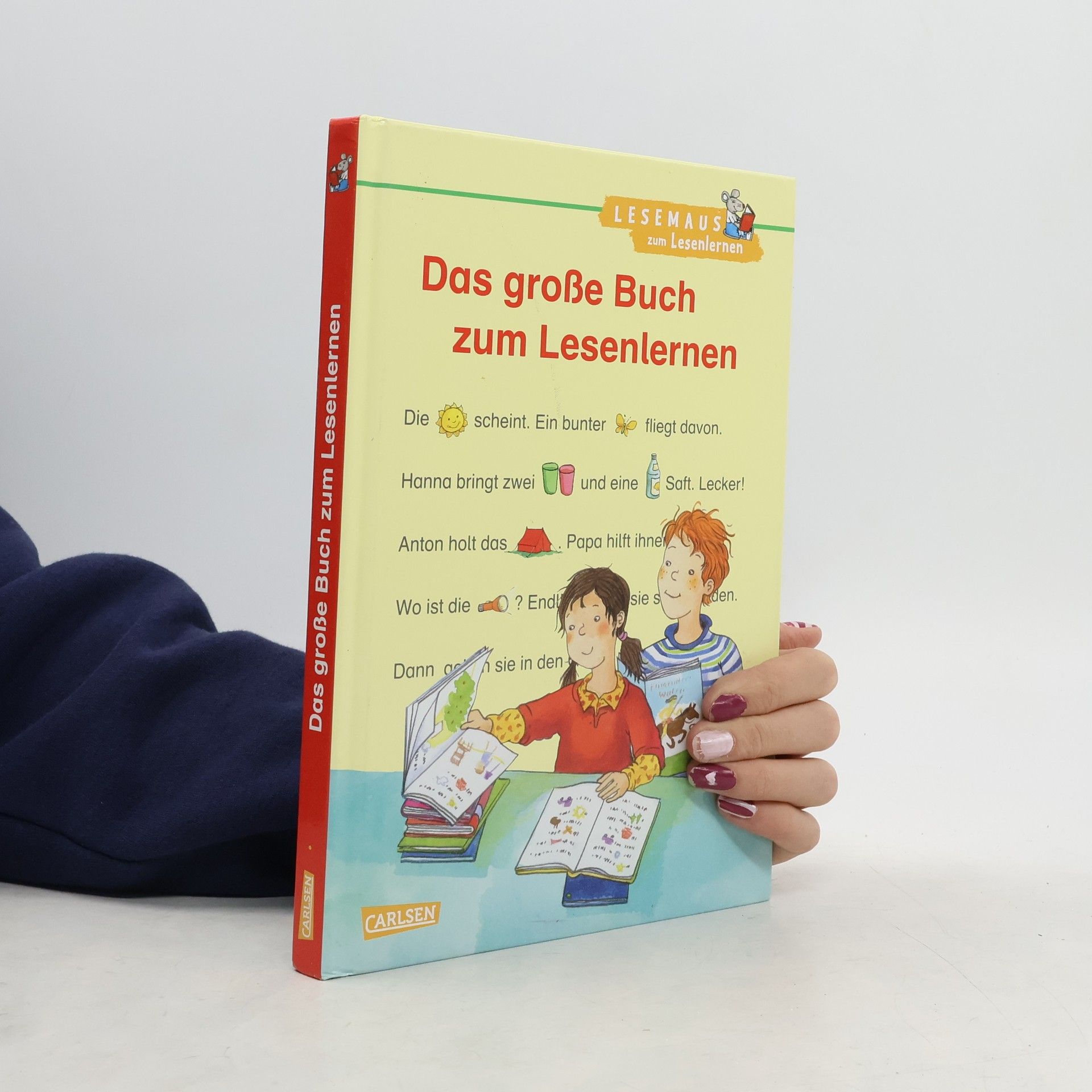 AA.VV. Das große Buch zum Lesenlernen
