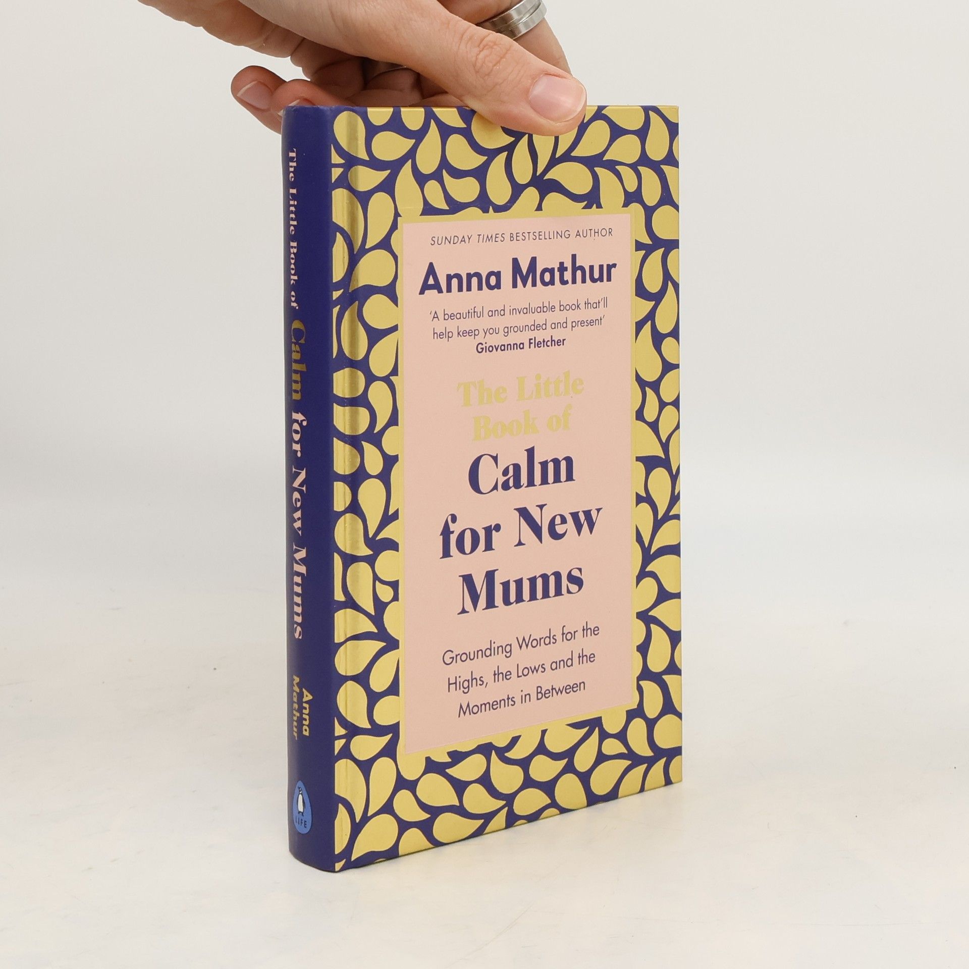 Anna Mathur The Little Book of Calm for New Mums