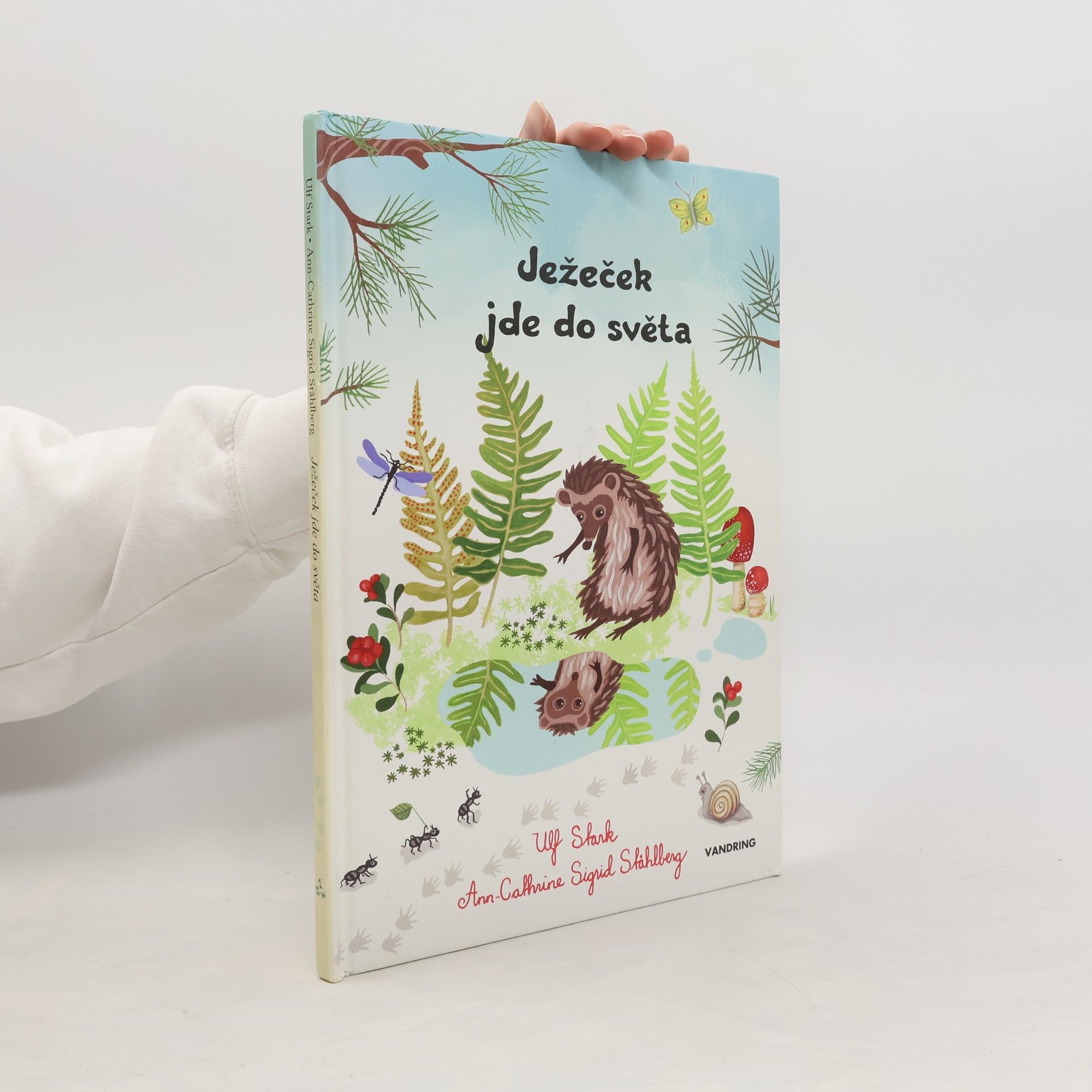 Ježeček jde do světa