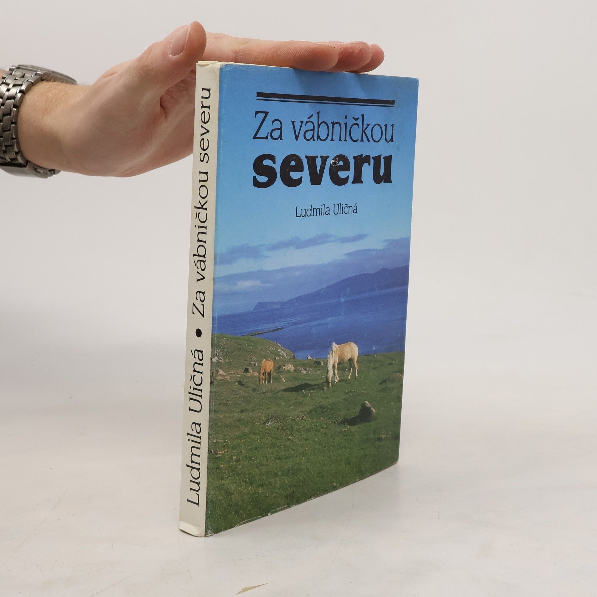 Za vábničkou severu