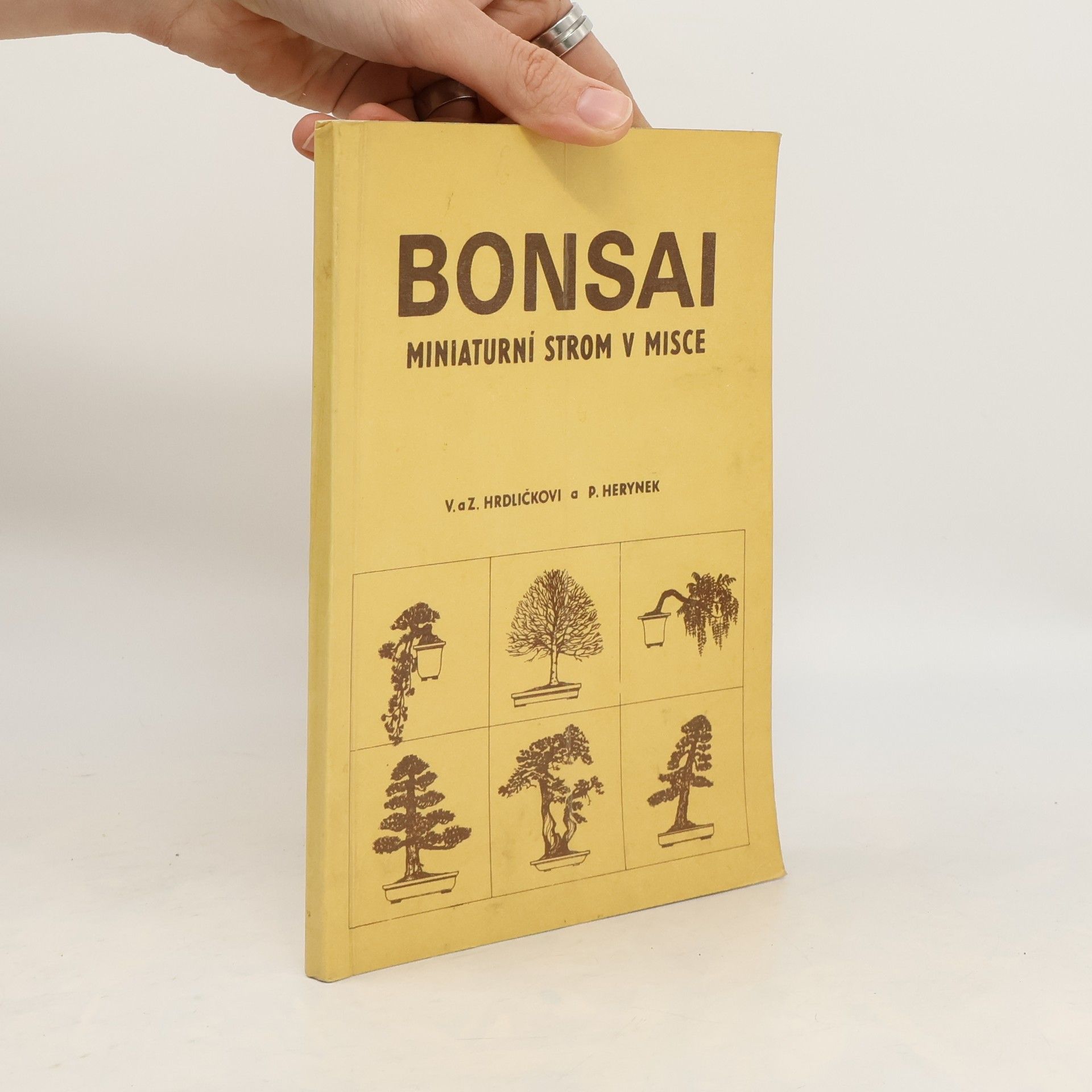 Zdeněk Hrdlička Bonsai. Miniaturní strom v misce