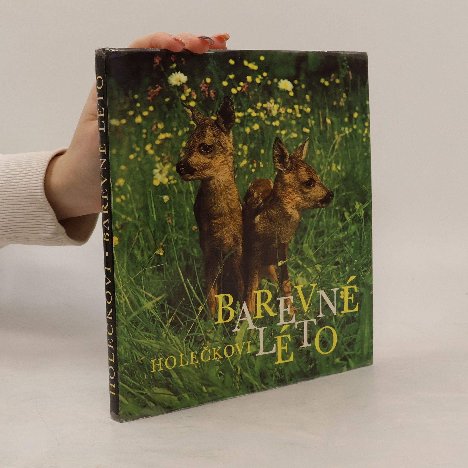 Jaroslav Holeček Barevné léto