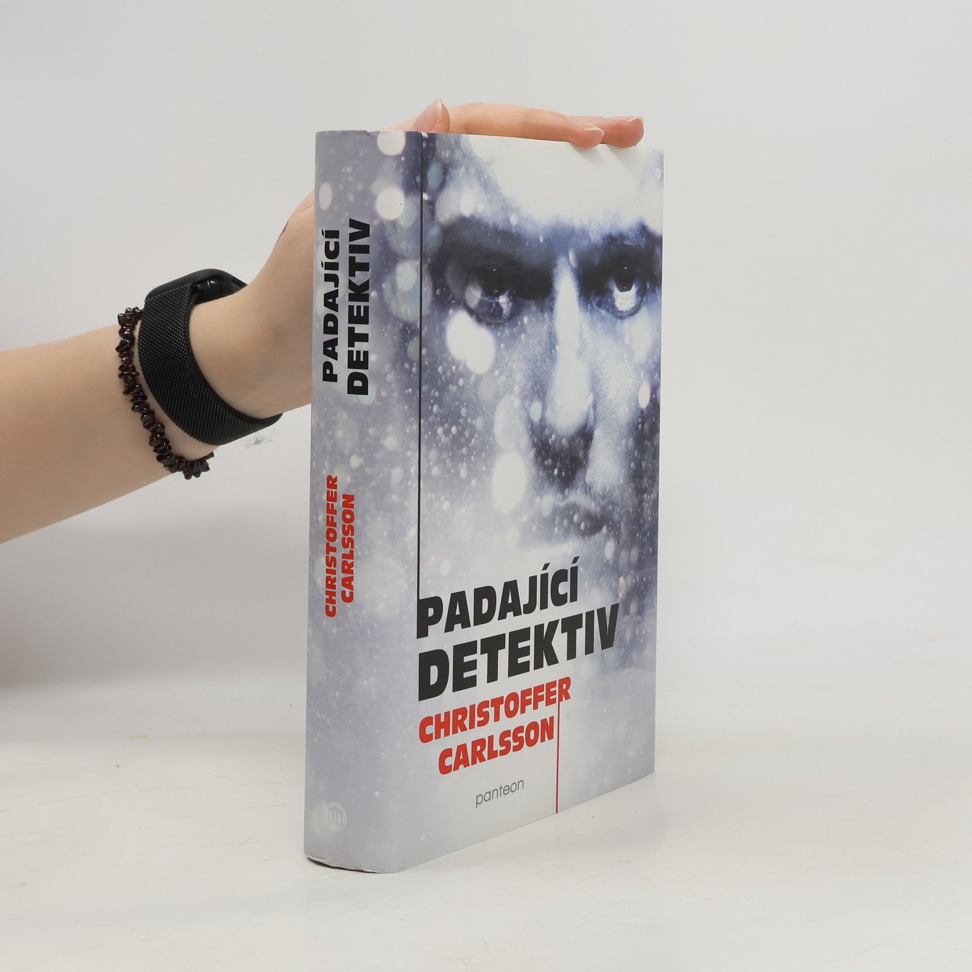 Christoffer Carlsson Padající detektiv