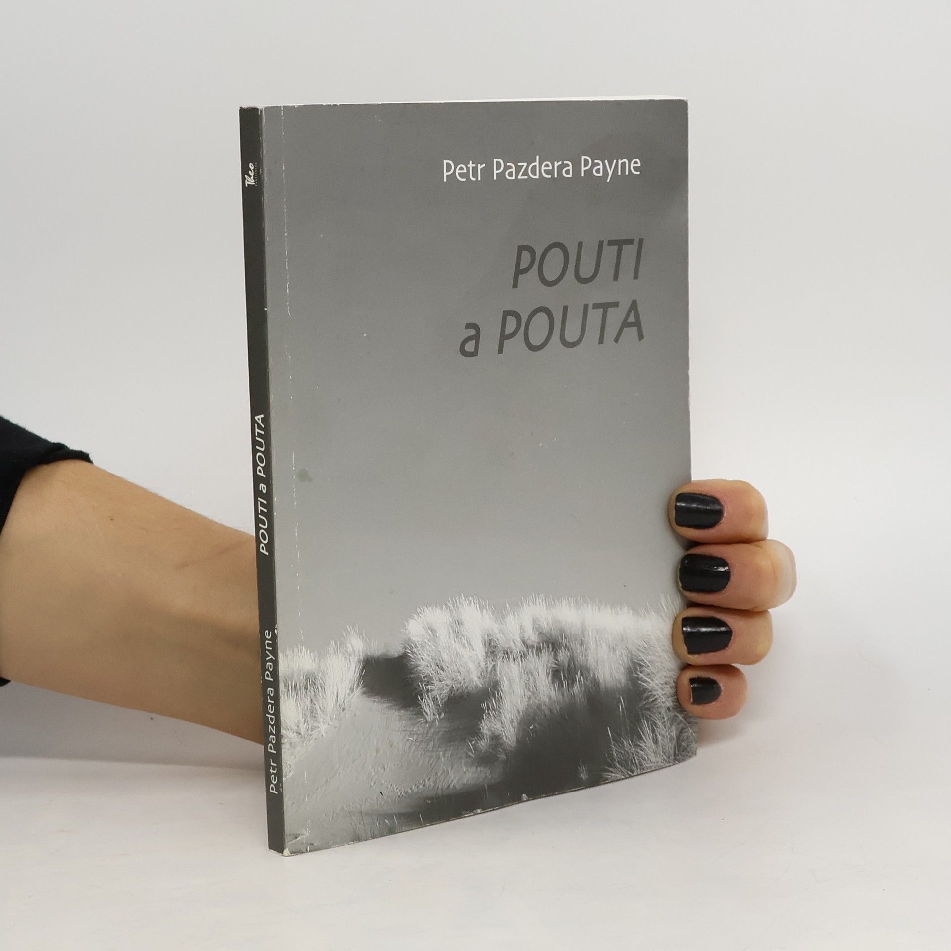 Petr Pazdera Payne Pouti a pouta