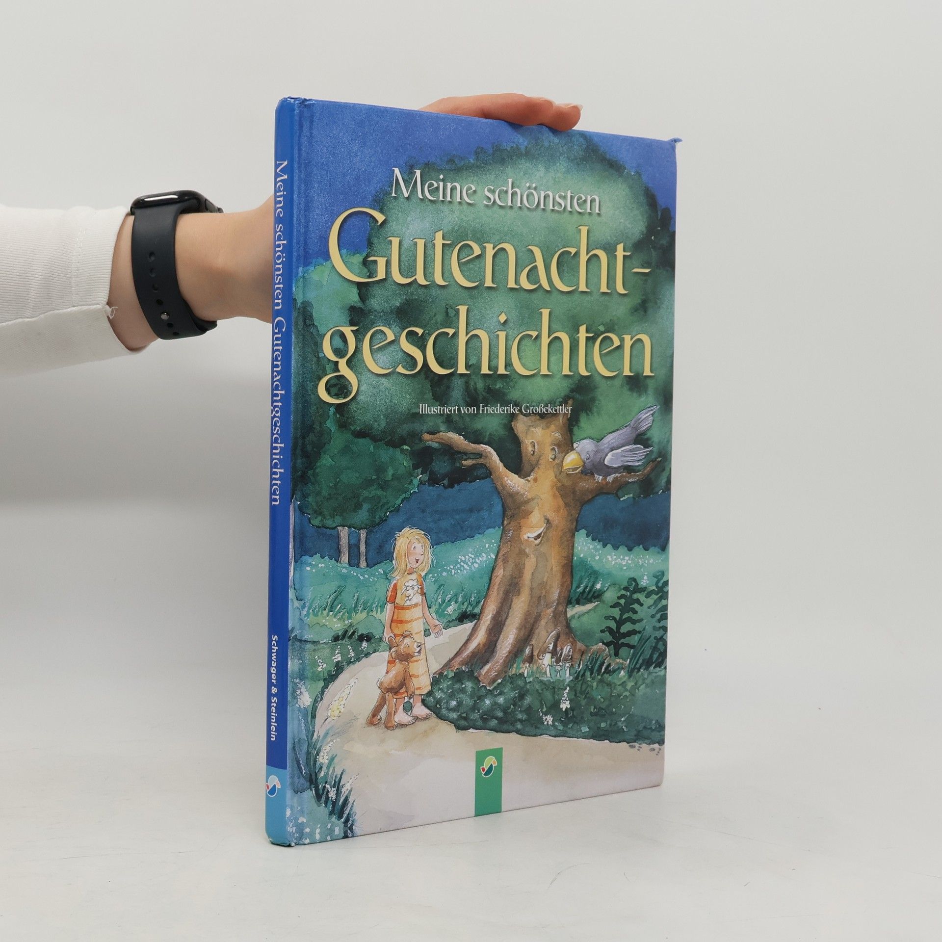 Autorenkollektiv Meine schönsten Gutenachtgeschichten