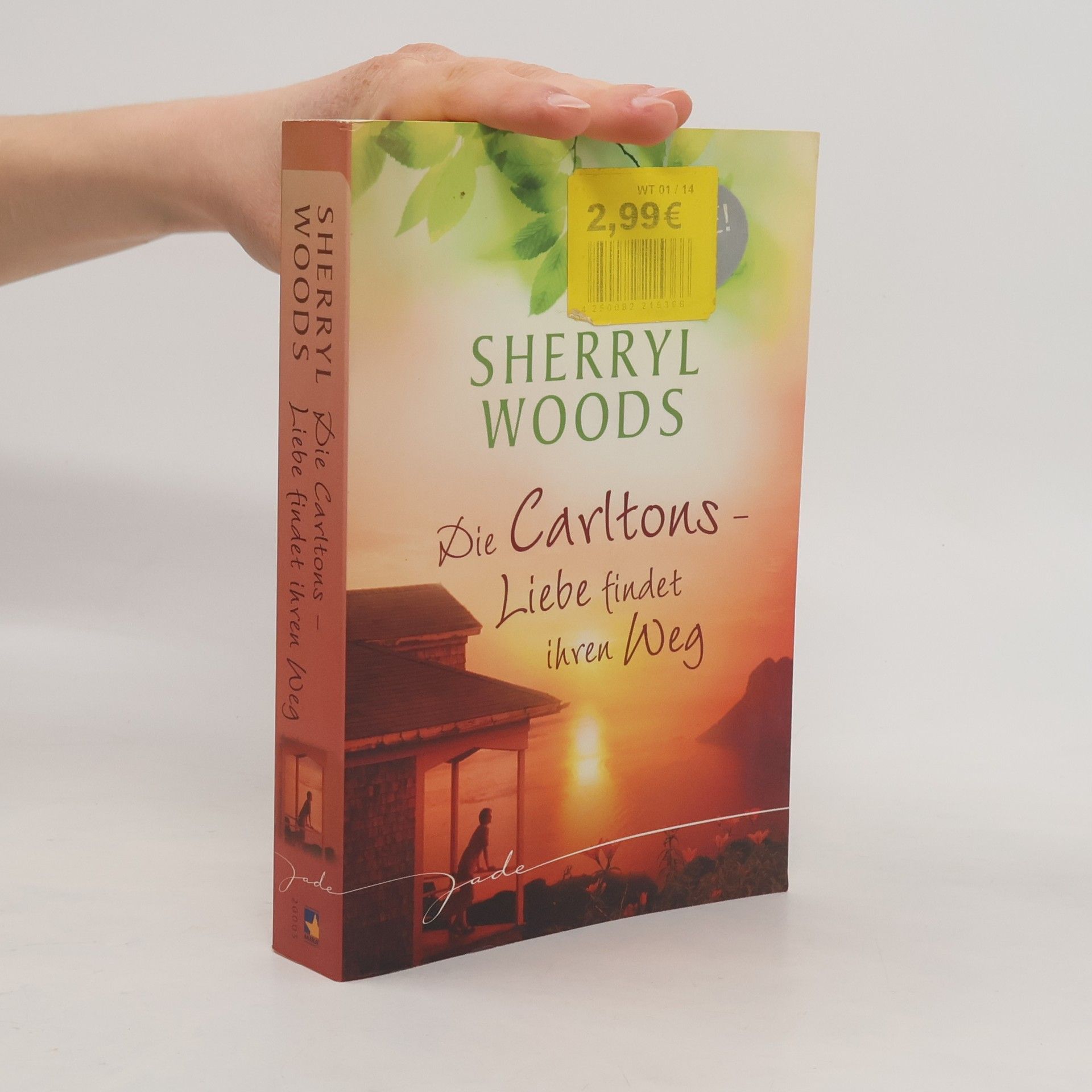 Die Carltons - Liebe findet ihren Weg. Endlich verheiratet; Nur ein kleines Intermezzo; Glaub' an die Macht der Liebe