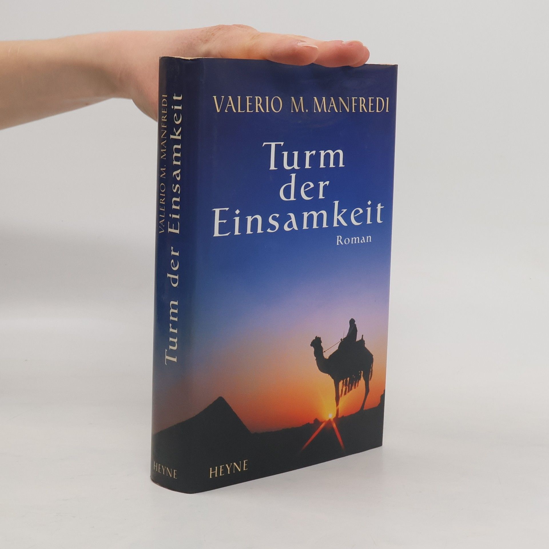 Valerio Massimo Manfredi Turm der Einsamkeit