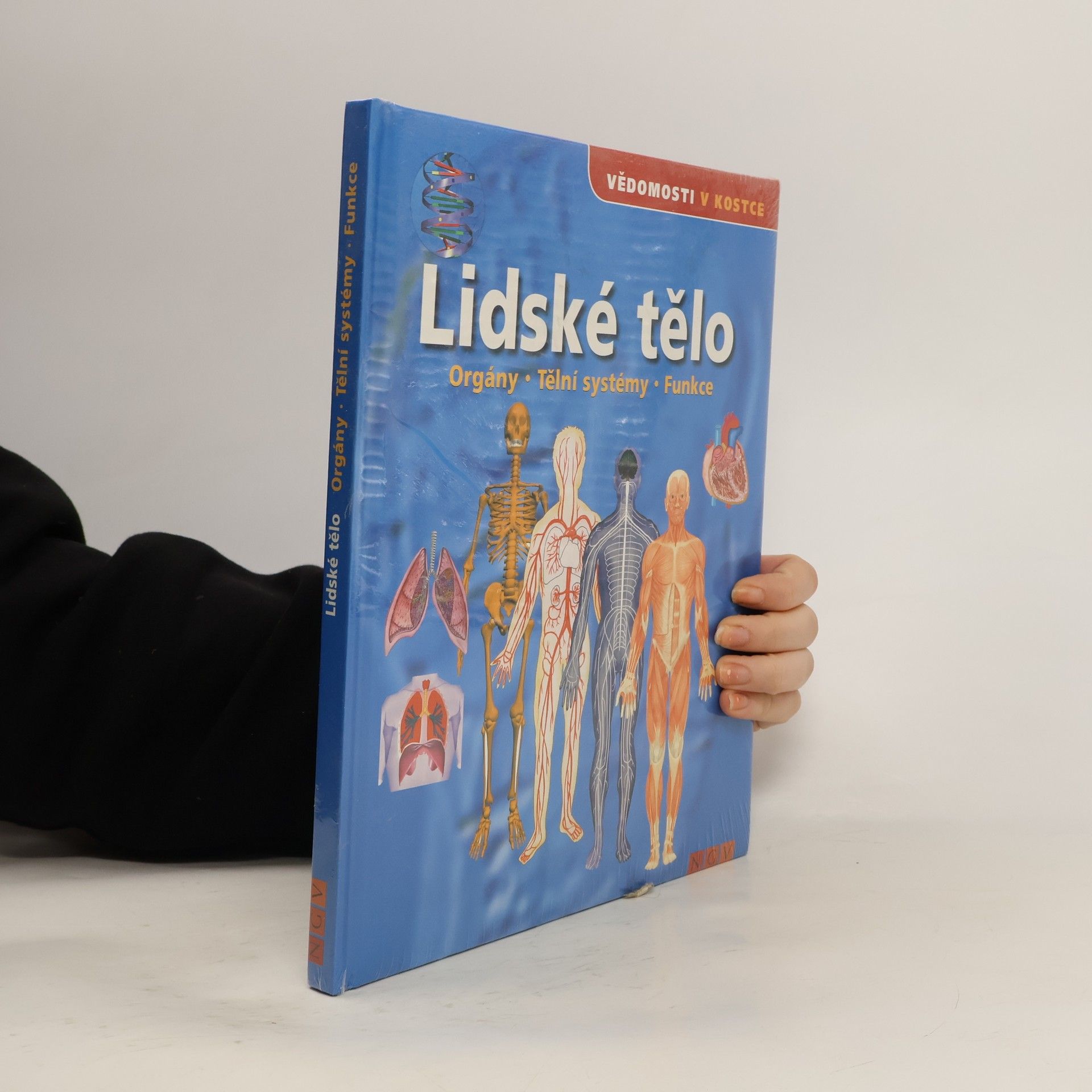 Autorenkollektiv Lidské tělo. Orgány. Tělní systémy. Funkce