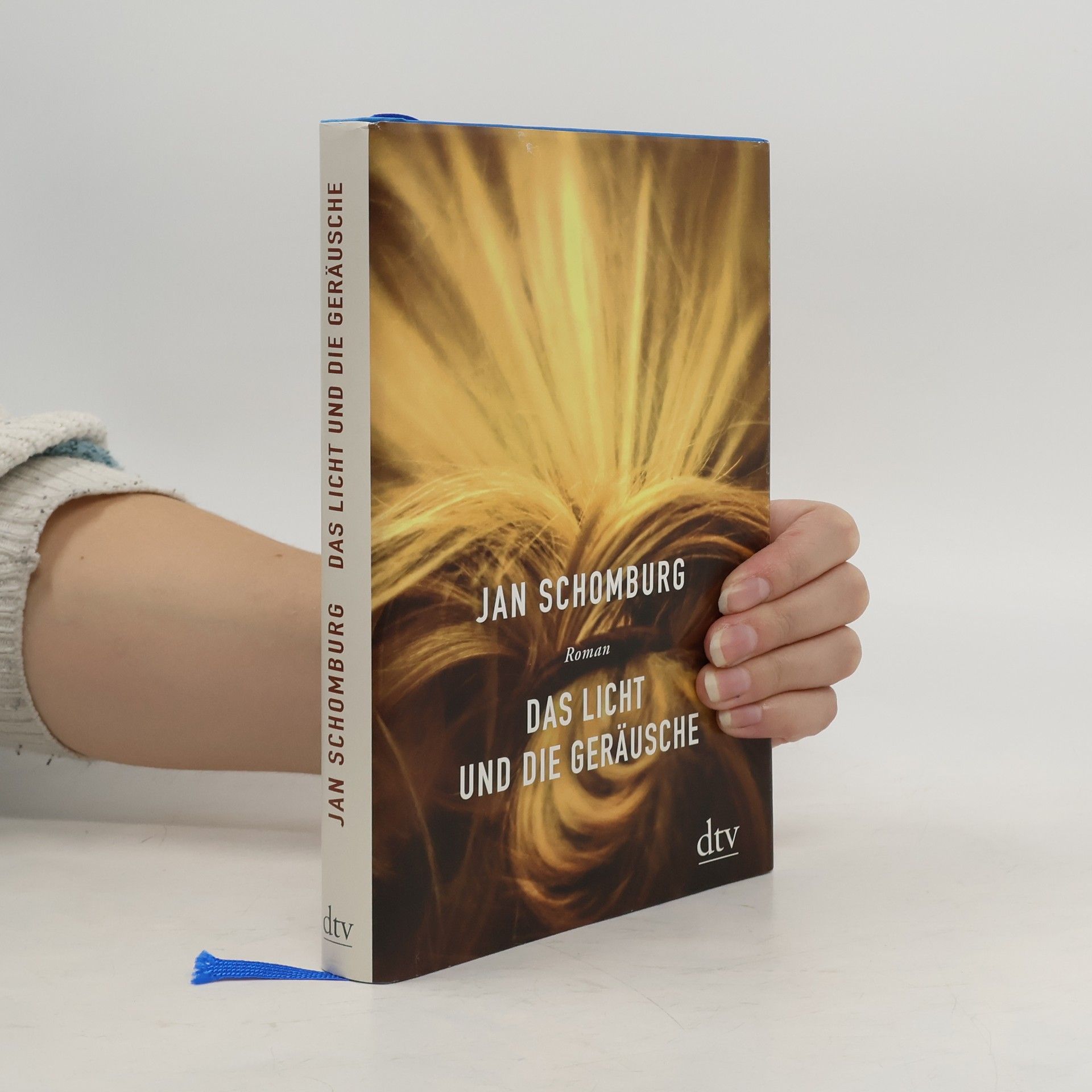 Jan Schomburg Das Licht und die Geräusche