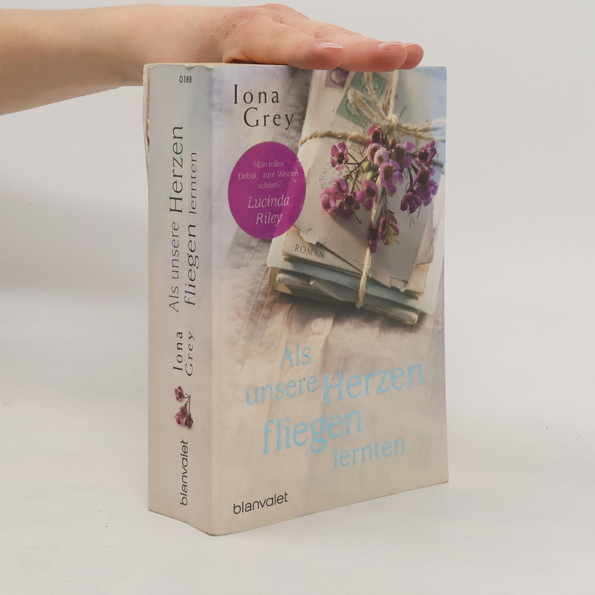 Iona Grey Als unsere Herzen fliegen lernten