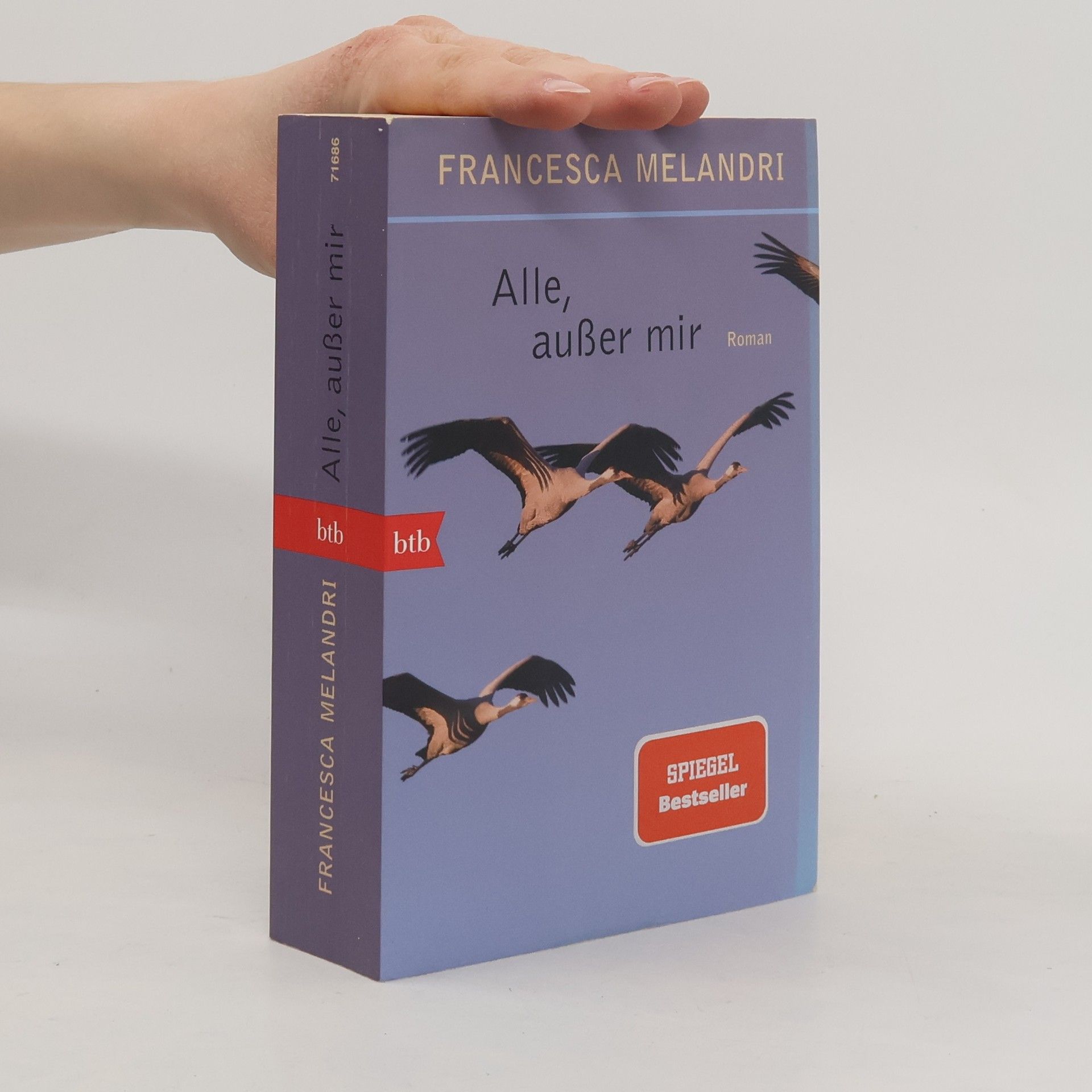 Francesca Melandri Alle, außer mir