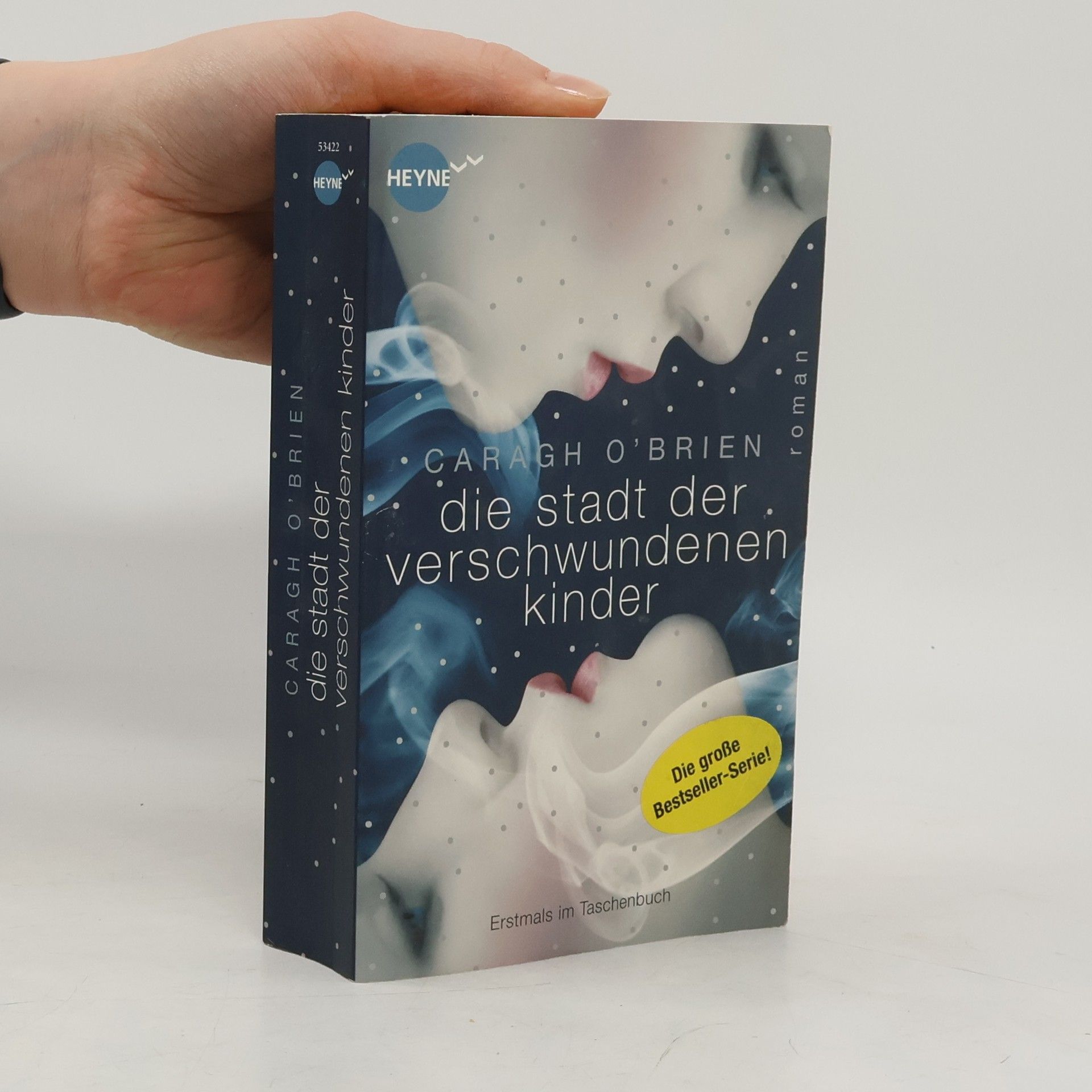 Caragh O. Brien Die Stadt der verschwundenen Kinder