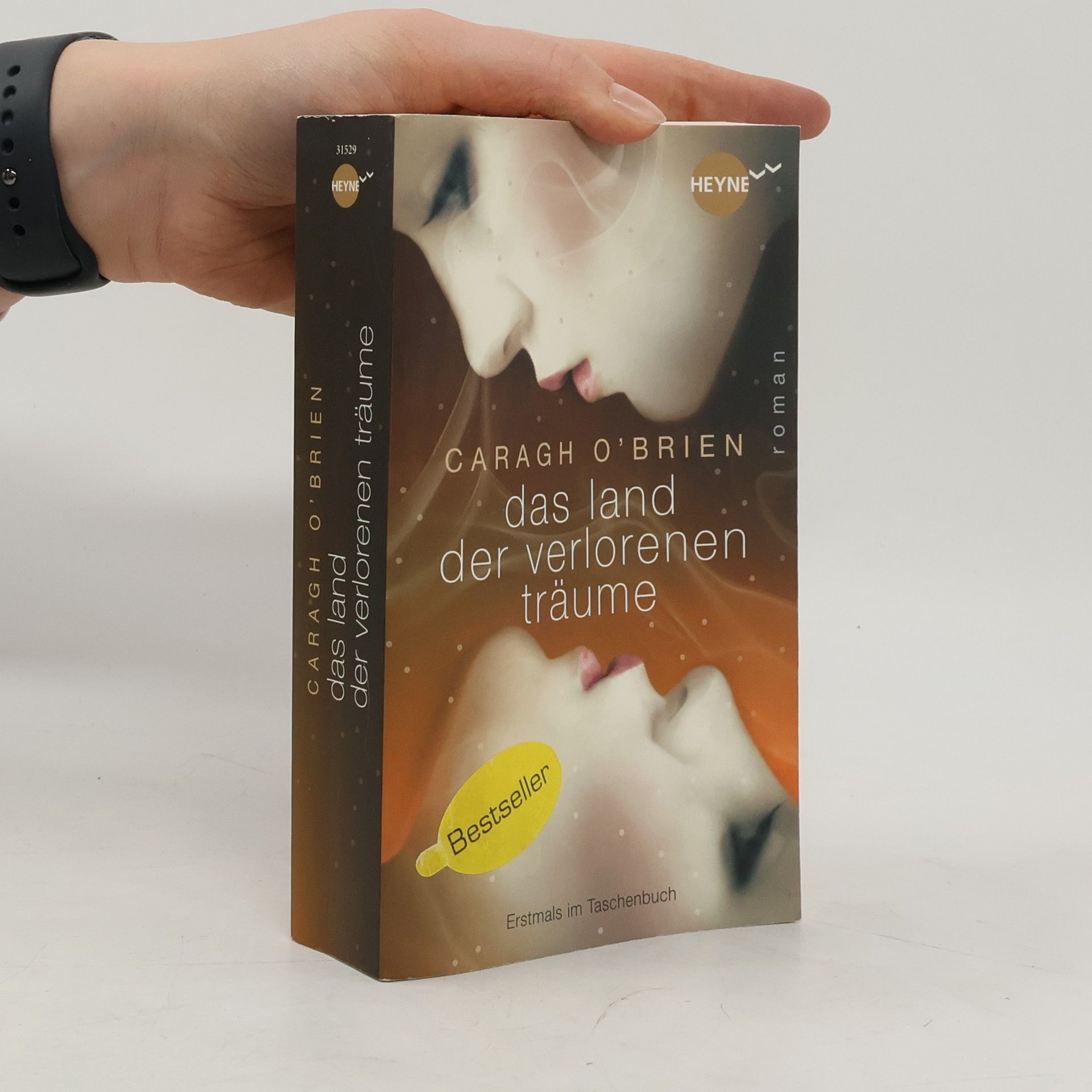 Caragh O. Brien Das Land der verlorenen Träume