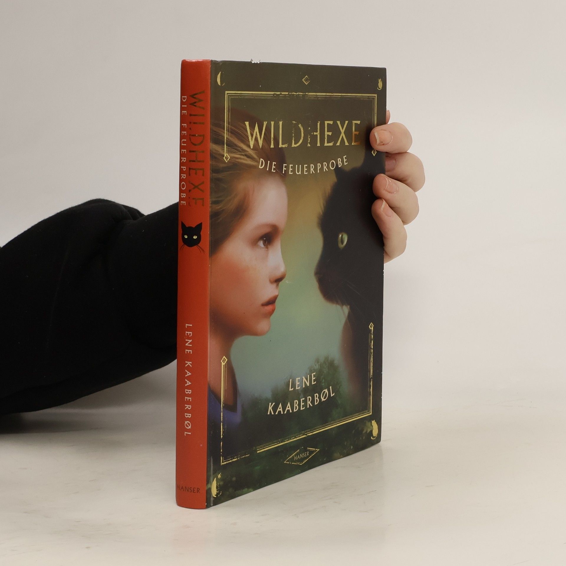 Lene Kaaberbøl Wildhexe die Feuerprobe