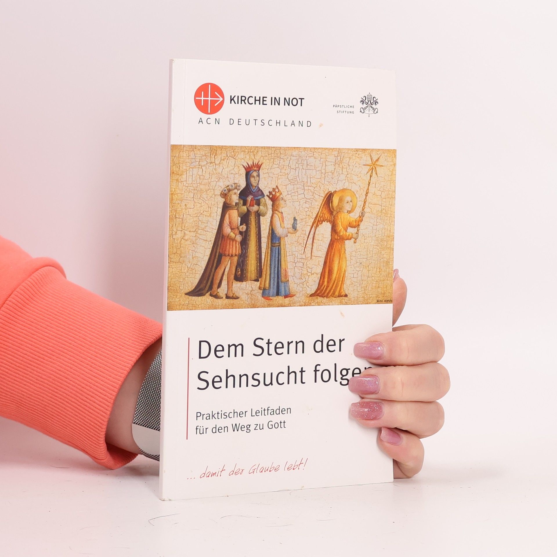 Berthold Pelster Dem Stern der Sehnsucht Folger