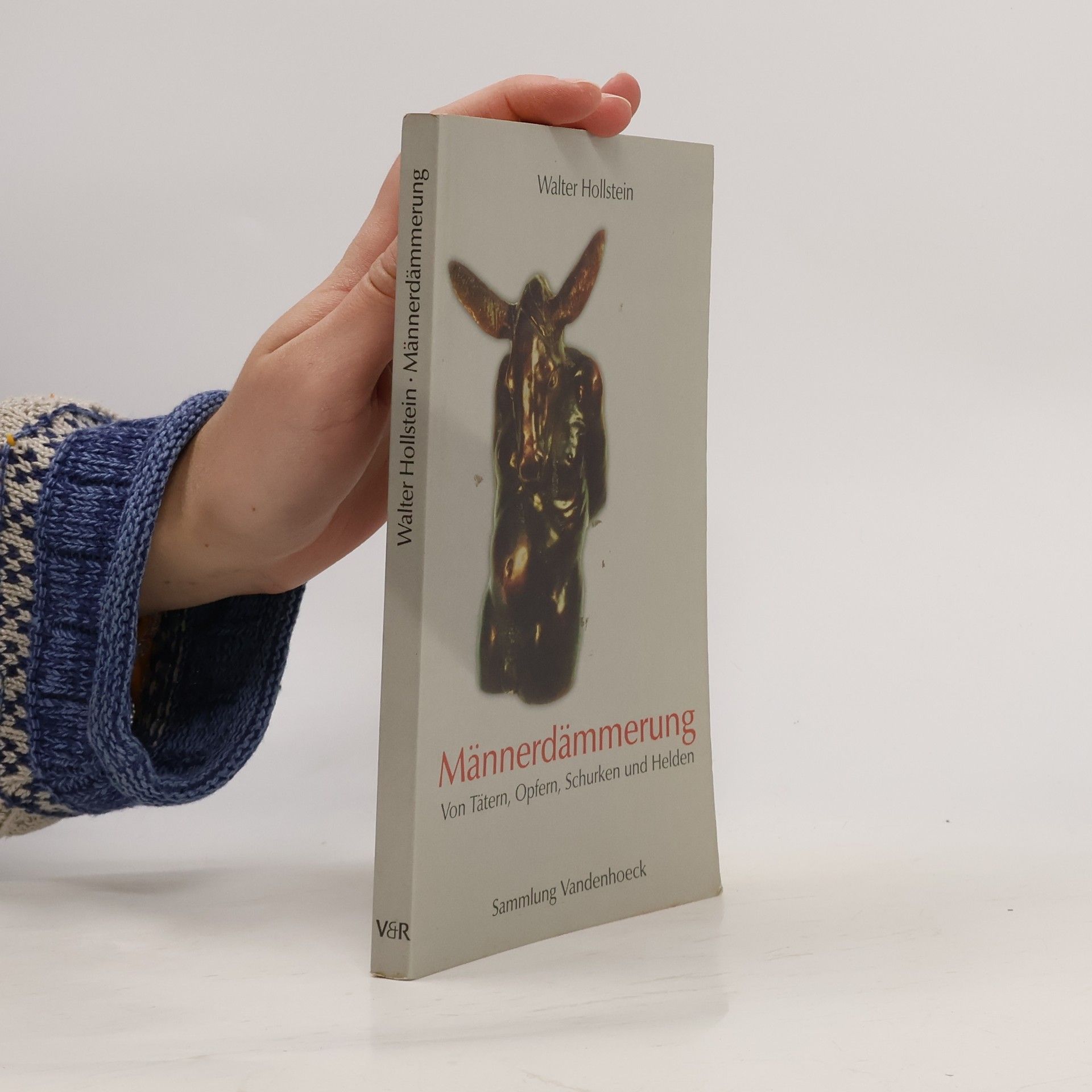 Walter Hollstein Männerdämmerung