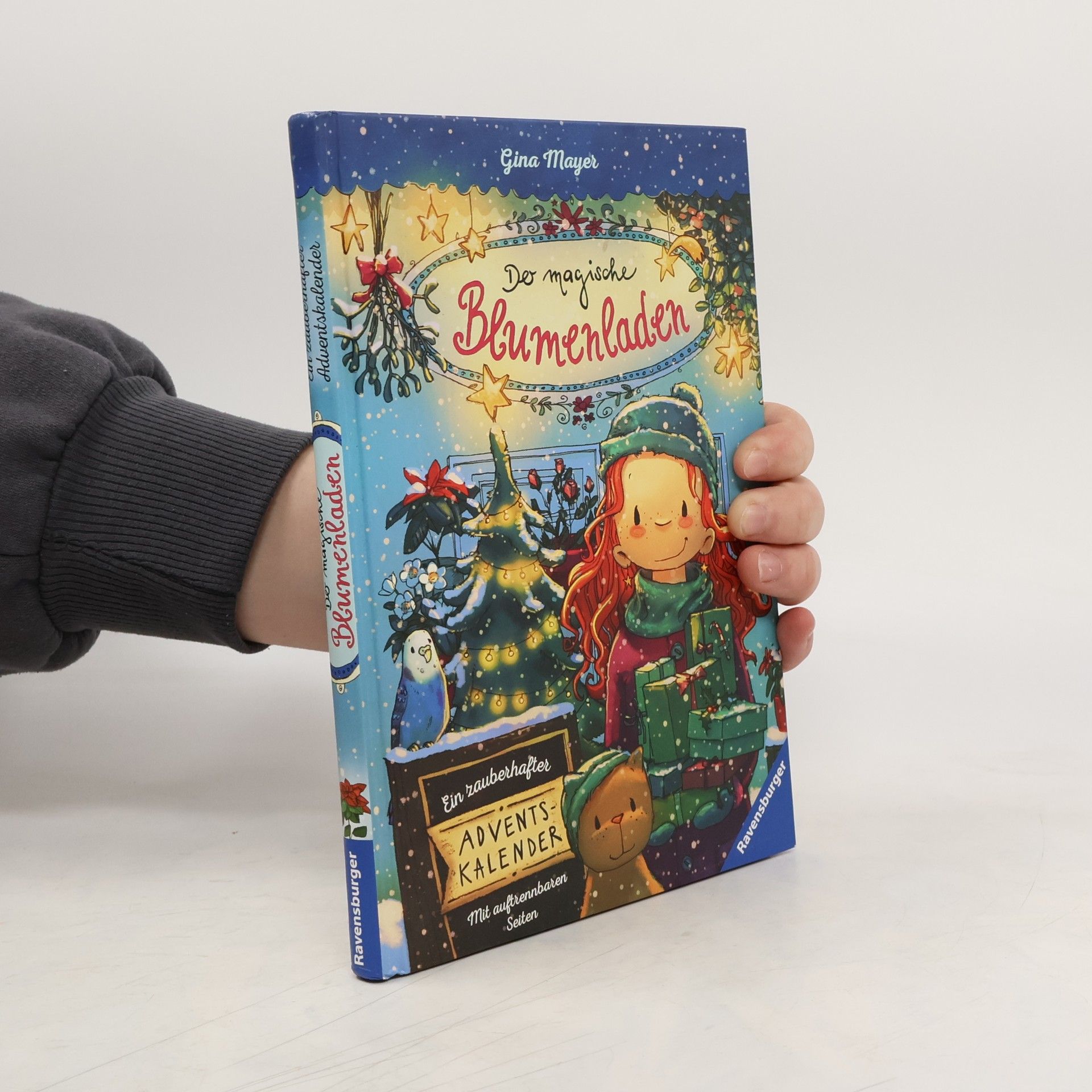 Gina Mayer Der magische Blumenladen - ein zauberhafter Adventskalender