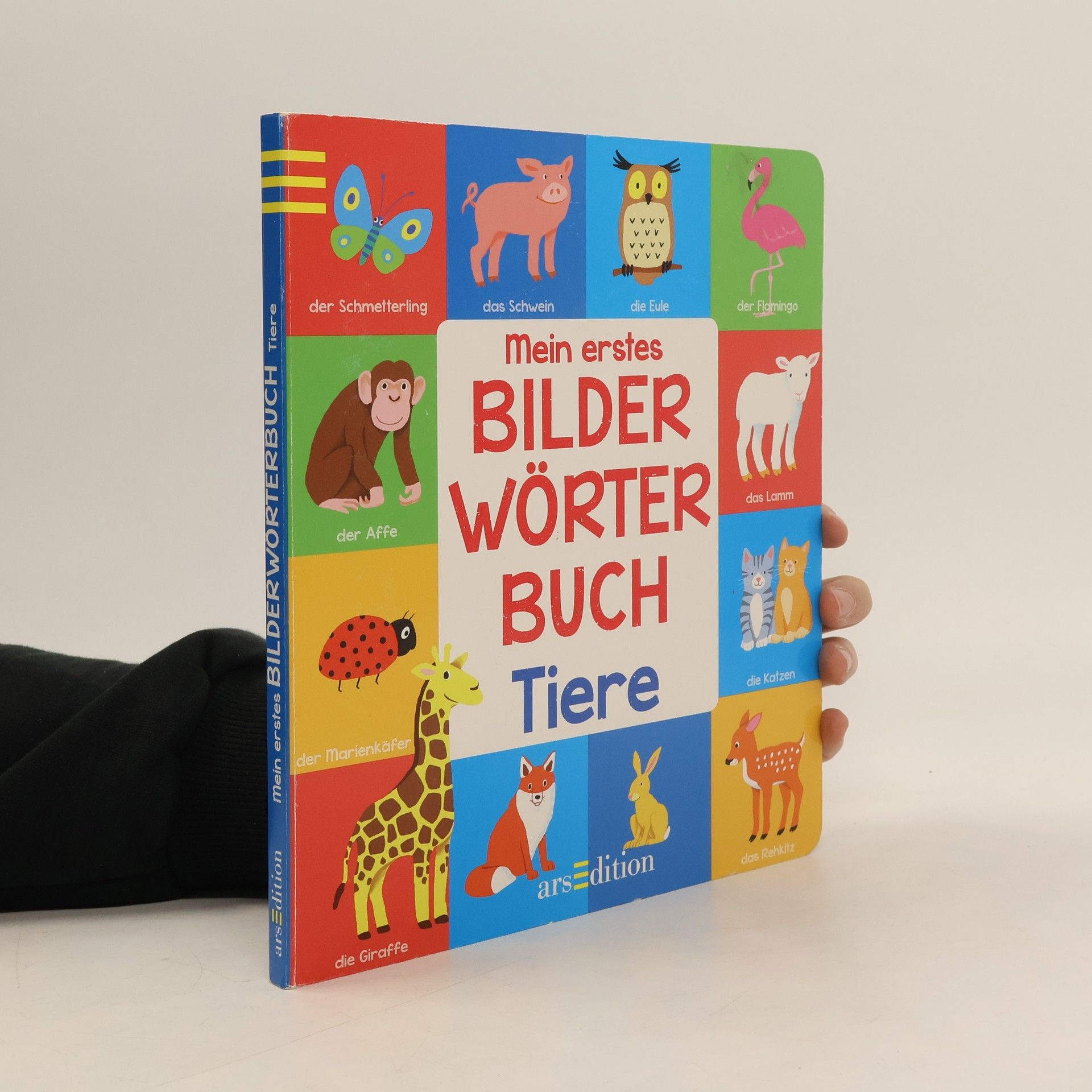 Anja Rieger Mein erstes Bilderwörterbuch - Tiere